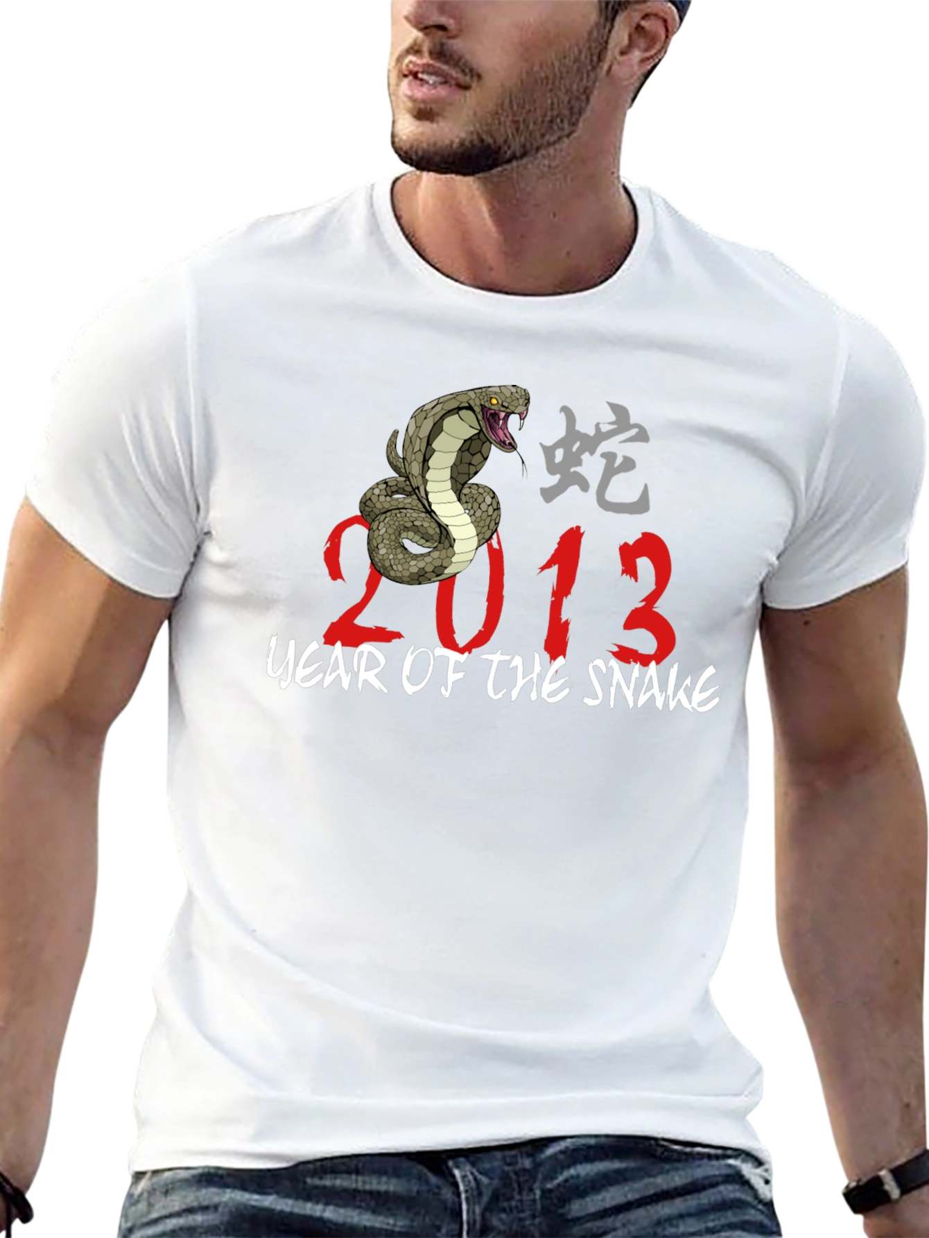 Year of The Snake 2013 Graphic T-Shirt
