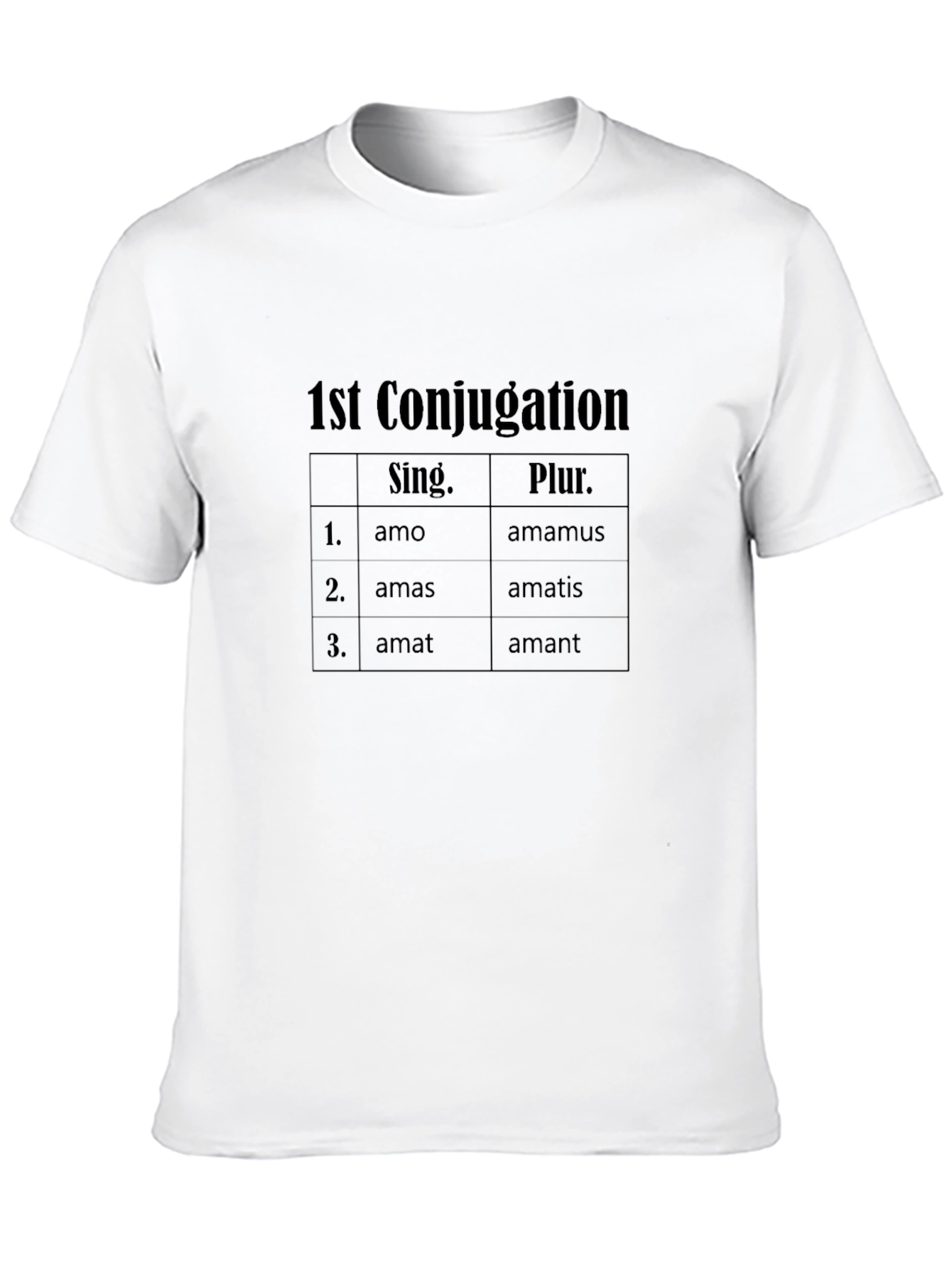 Latin Verb Conjugation T-Shirt - 1st Conjugation