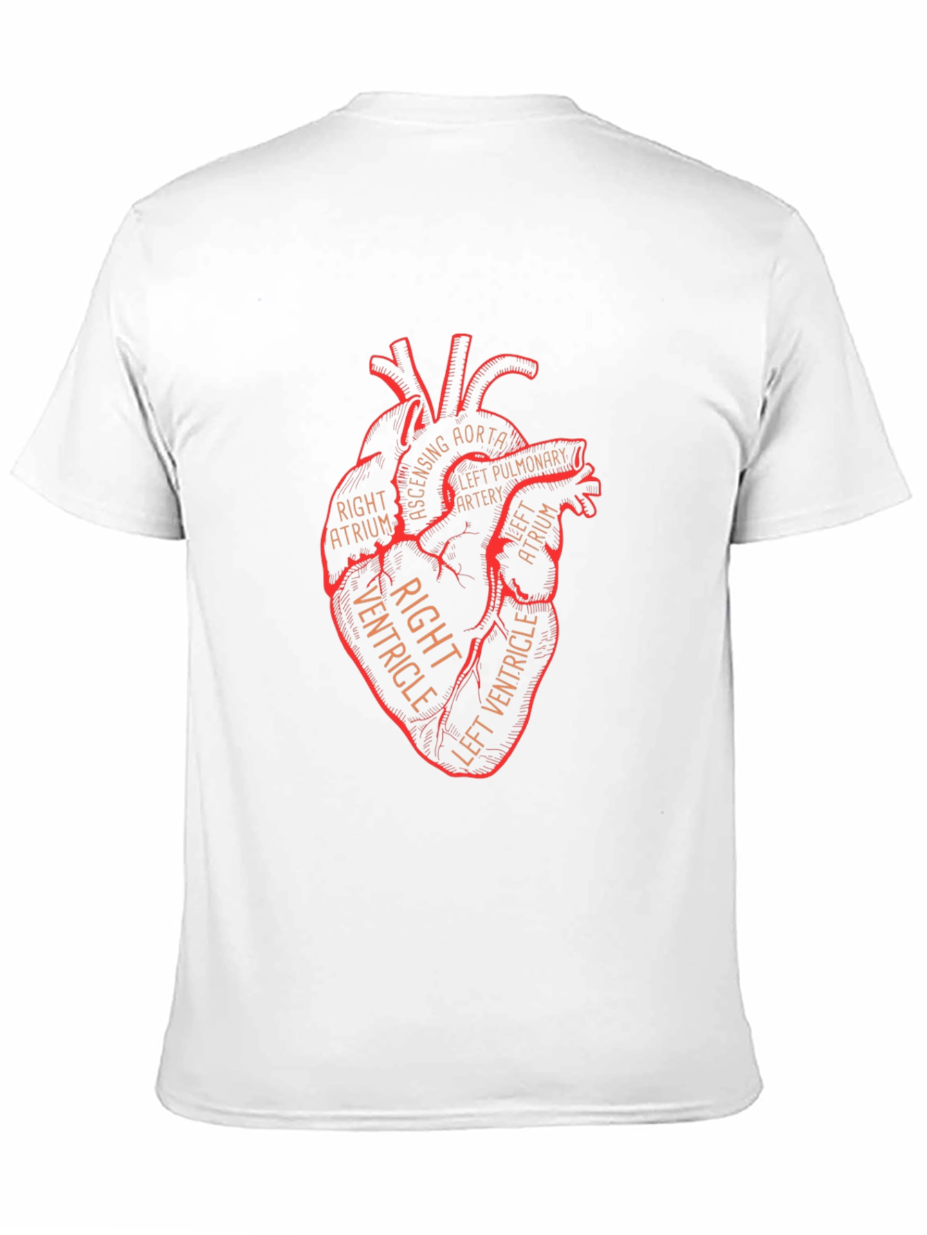 Anatomical Heart Graphic T-Shirt - Black
