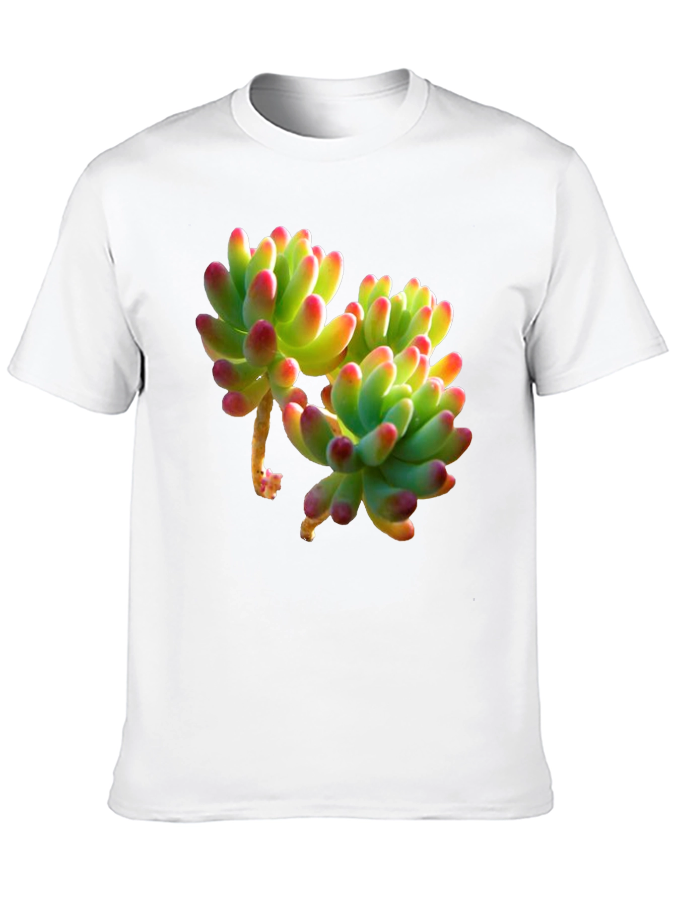 Succulent Graphic Tee - Stylish Plant Lover Shirt