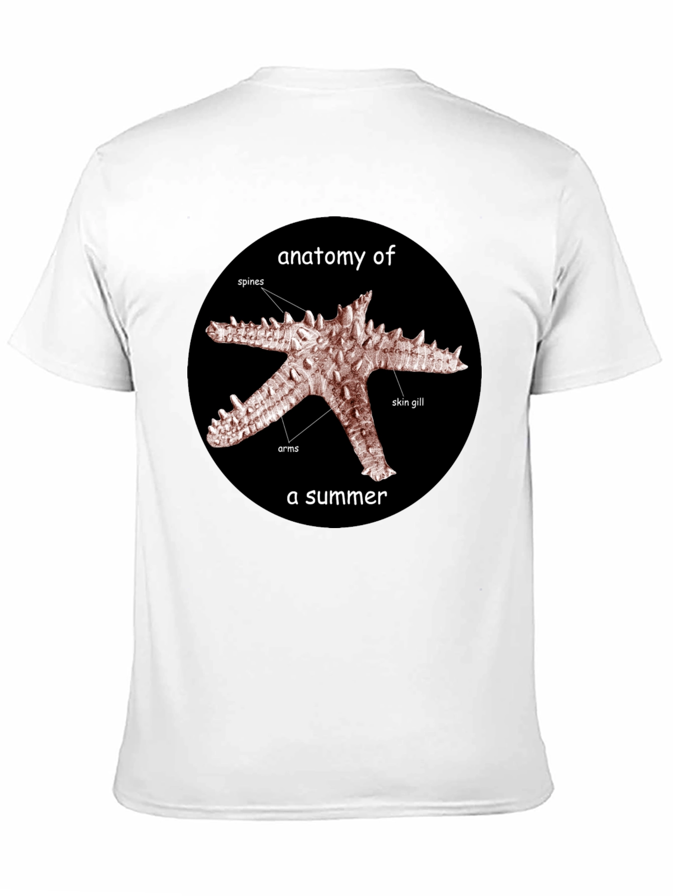 Anatomy of a Summer Starfish Graphic T-Shirt