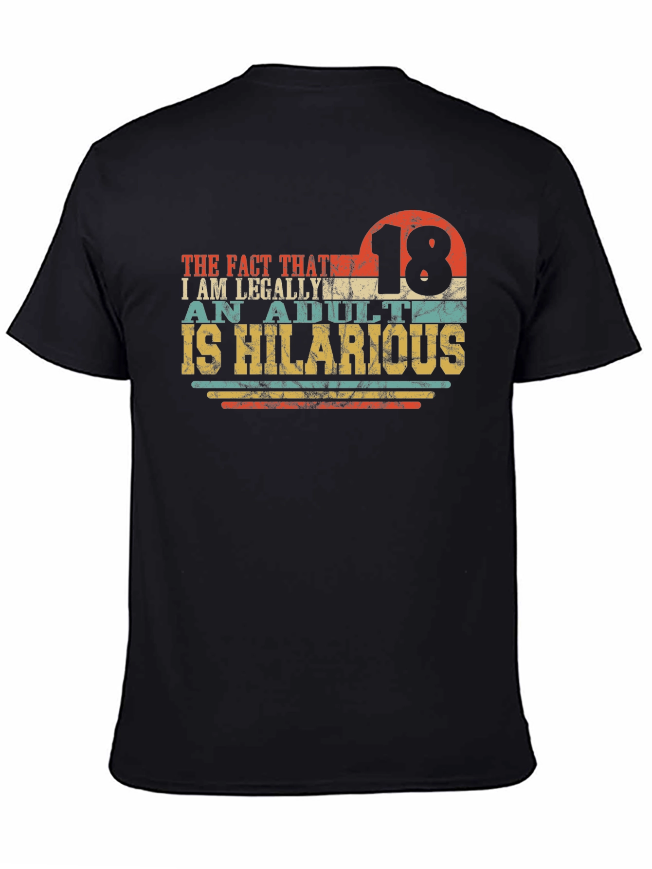 18th Birthday Funny Adult T-Shirt