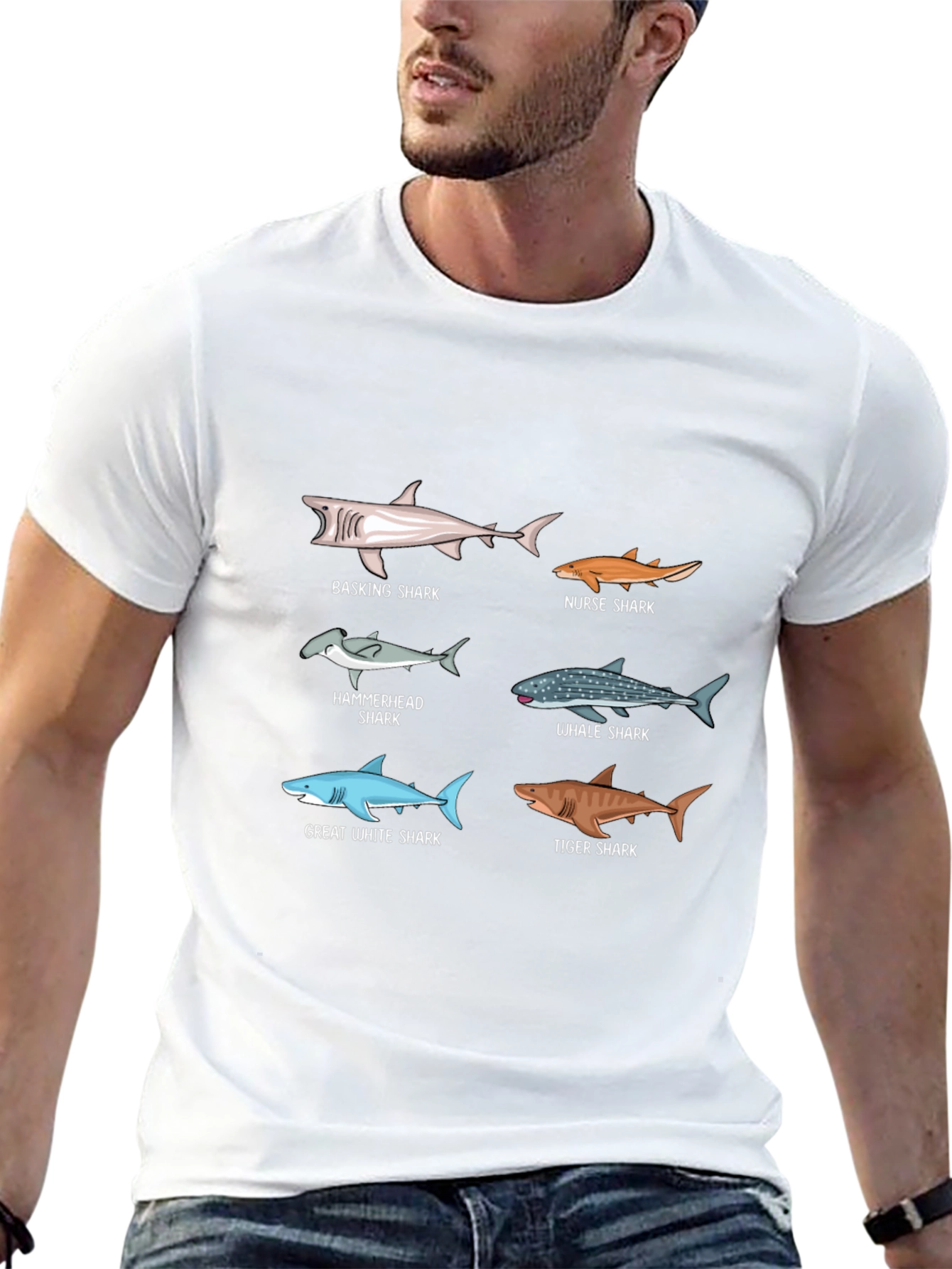 Shark Species Graphic Print T-Shirt