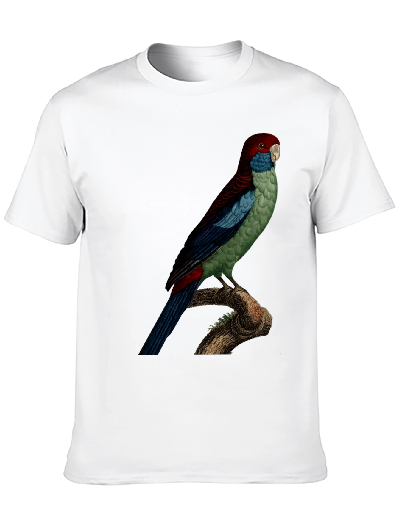 Parrot Graphic Tee - Black