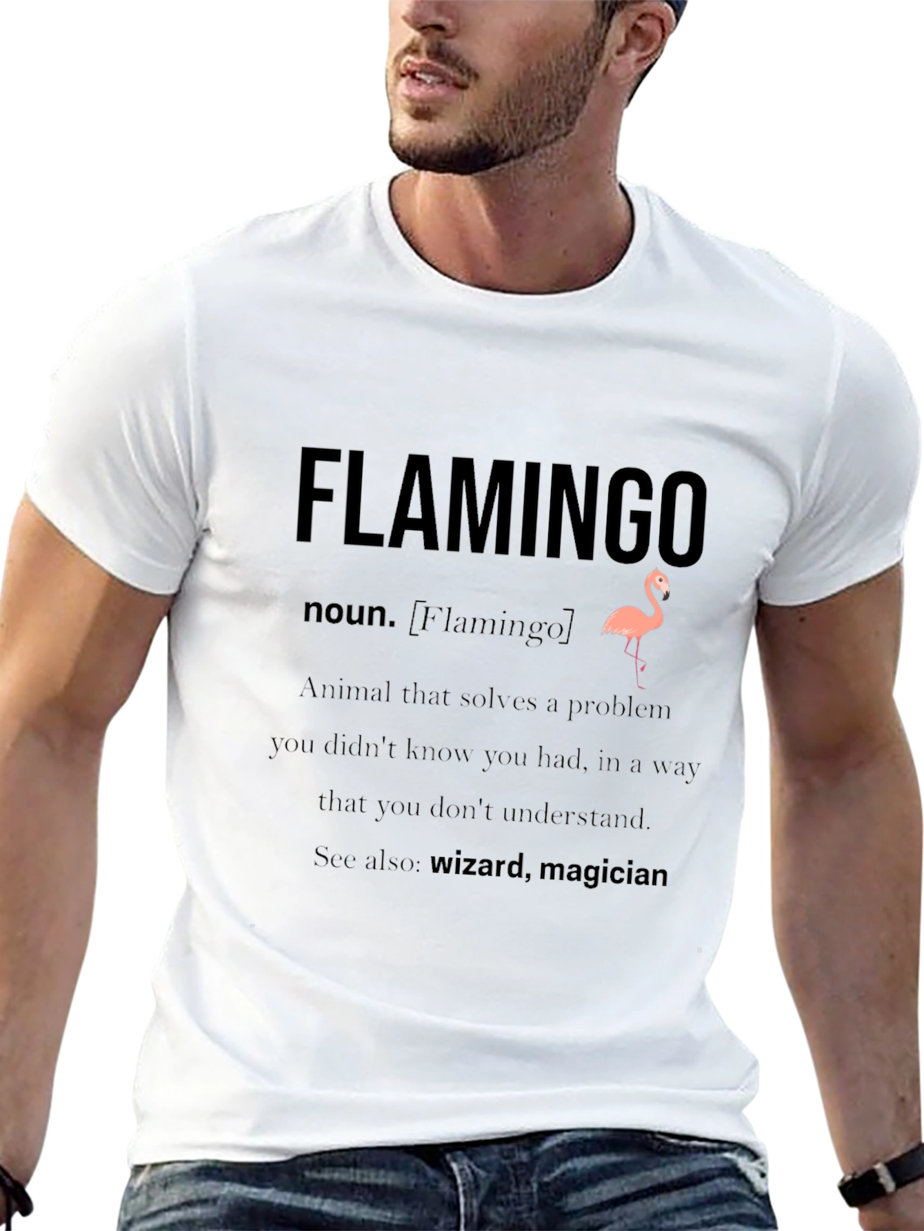 Flamingo Definition Graphic T-Shirt