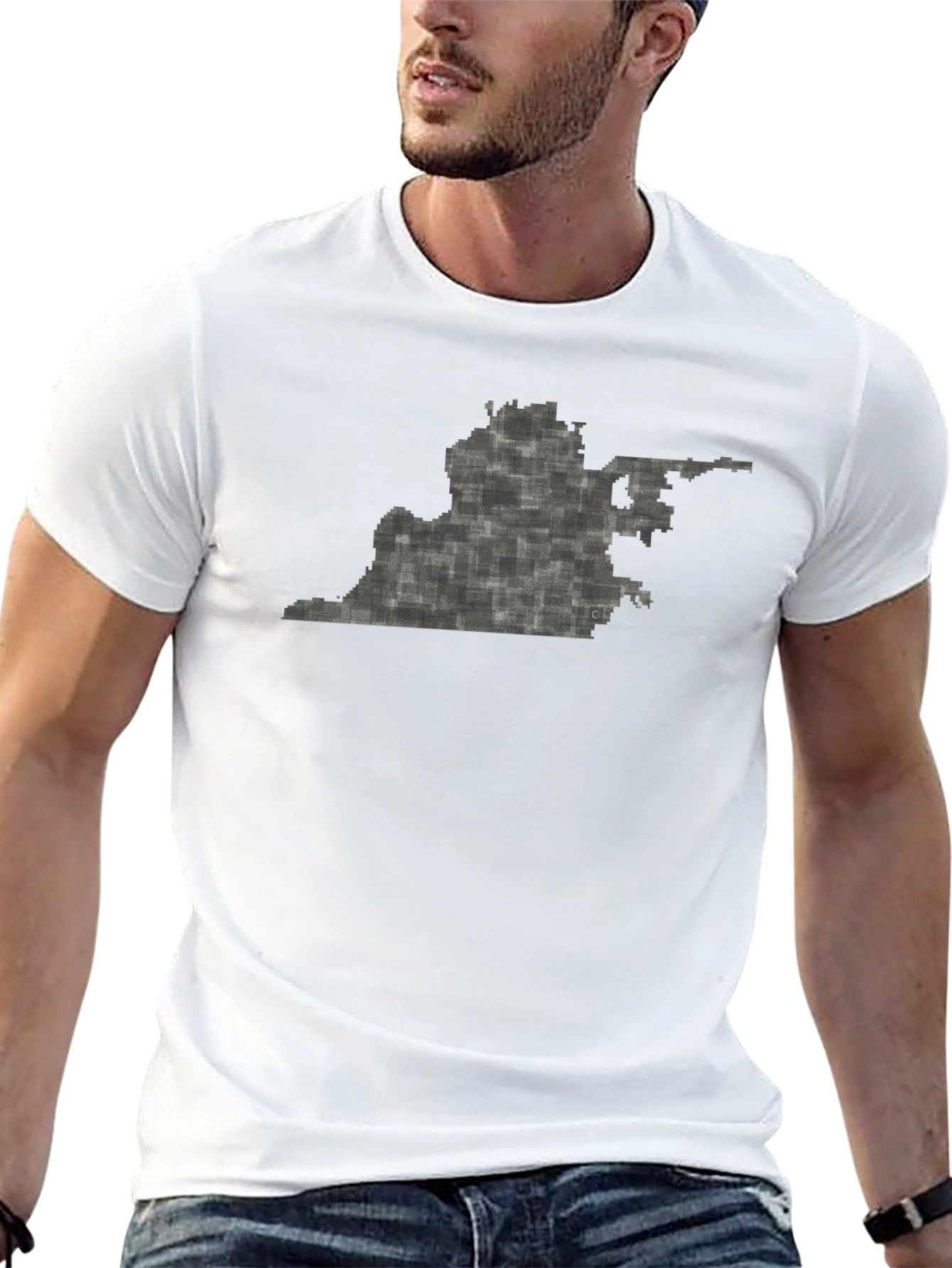 Virginia State Pixel Art Black T-Shirt
