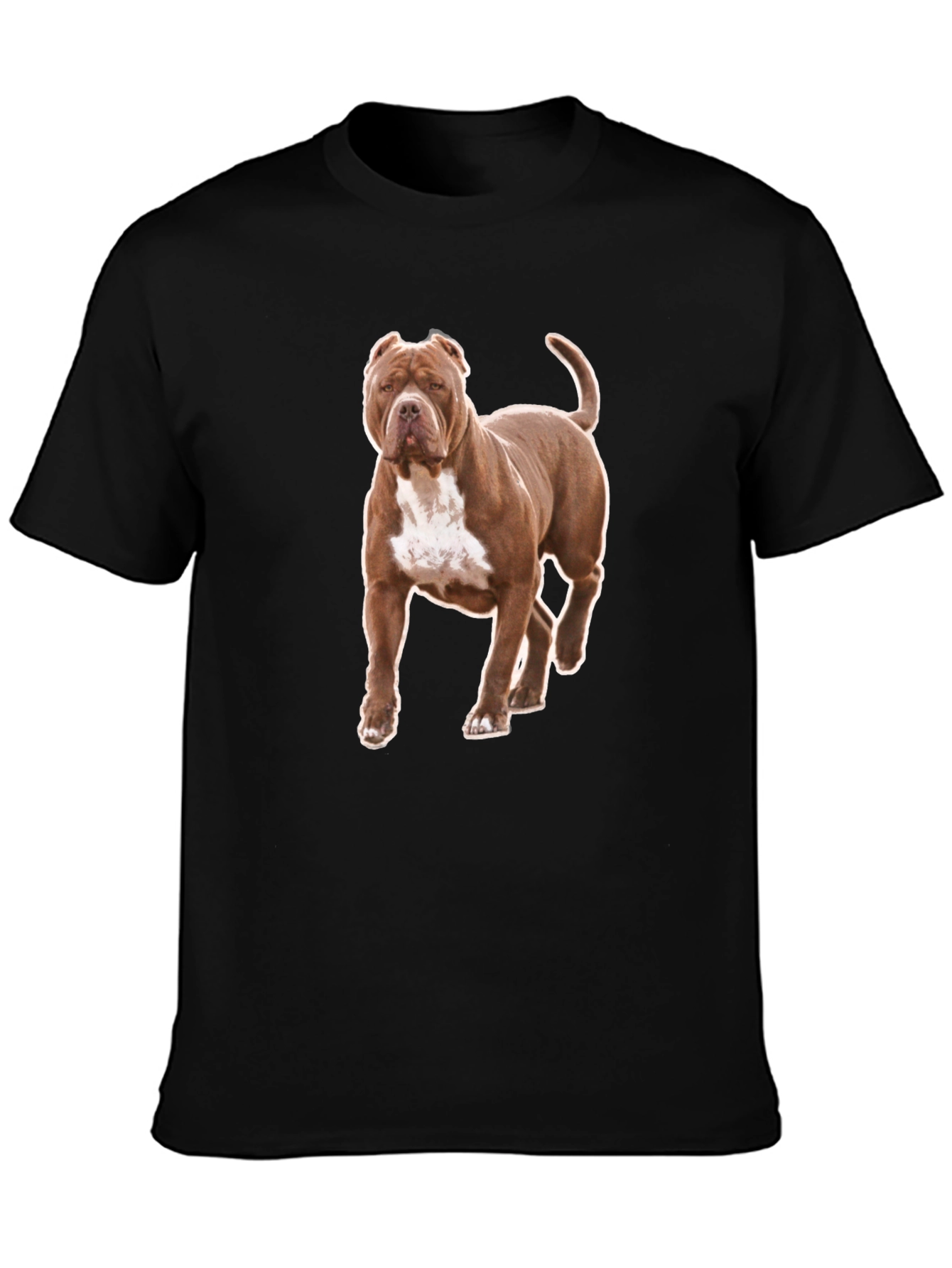 Pitbull Dog Graphic Tee - Black Cotton T-Shirt
