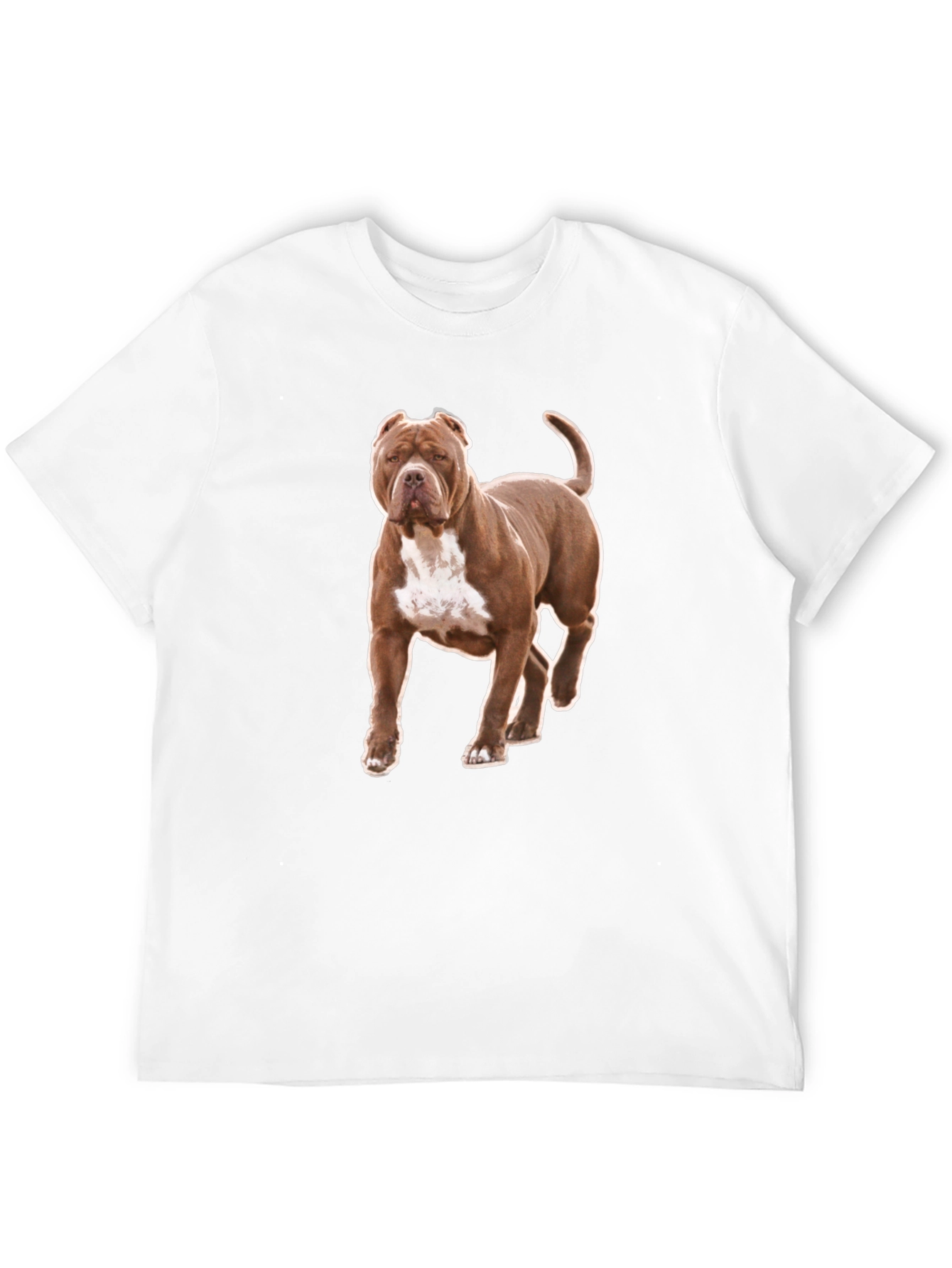 Pitbull Dog Graphic Tee - Black Cotton T-Shirt