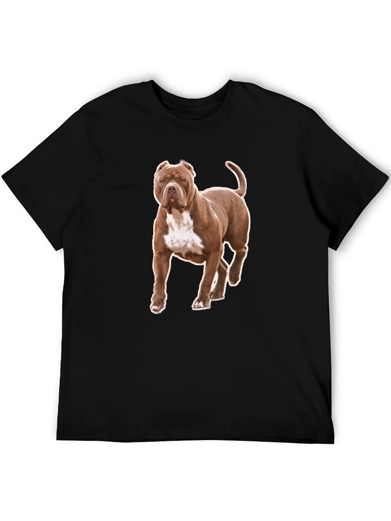 Pitbull Dog Graphic Tee - Black Cotton T-Shirt