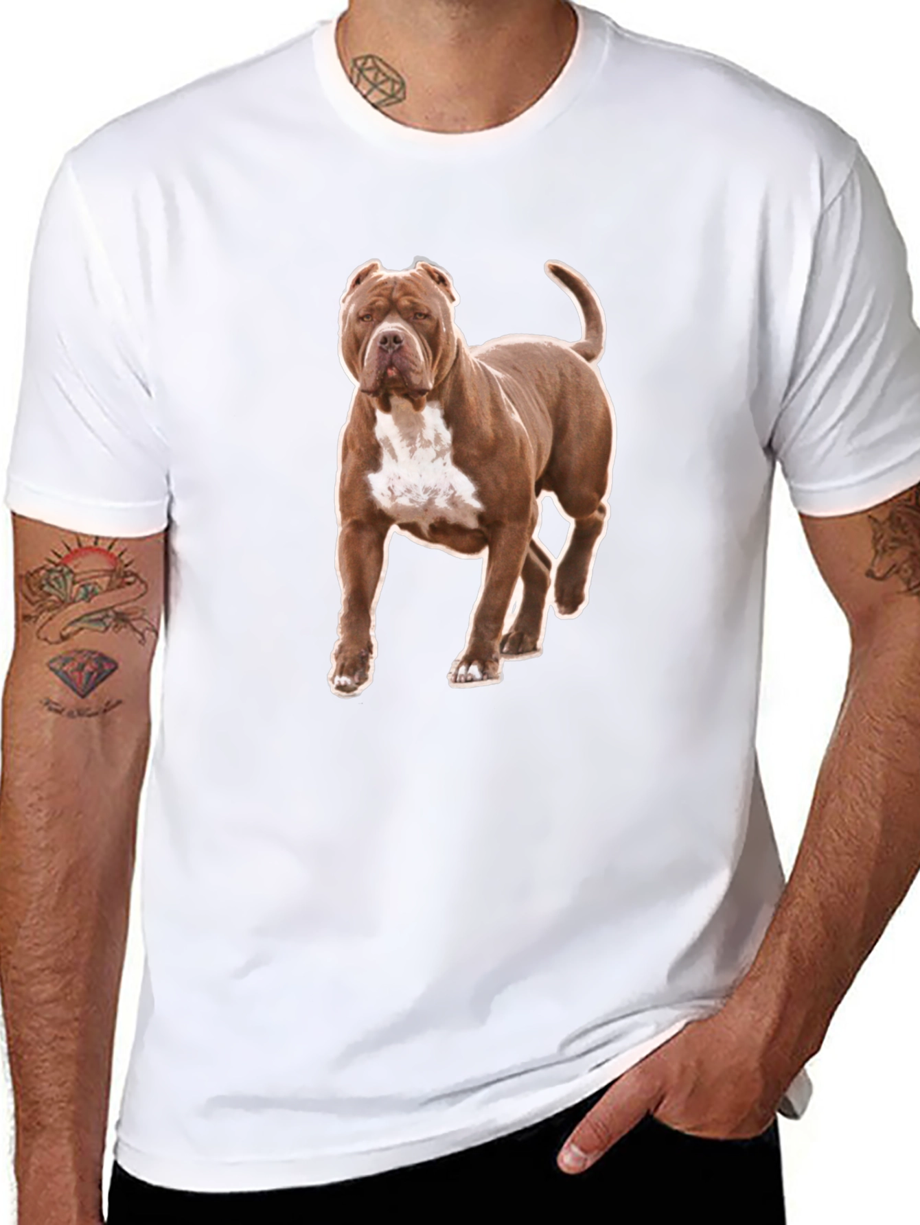 Pitbull Dog Graphic Tee - Black Cotton T-Shirt