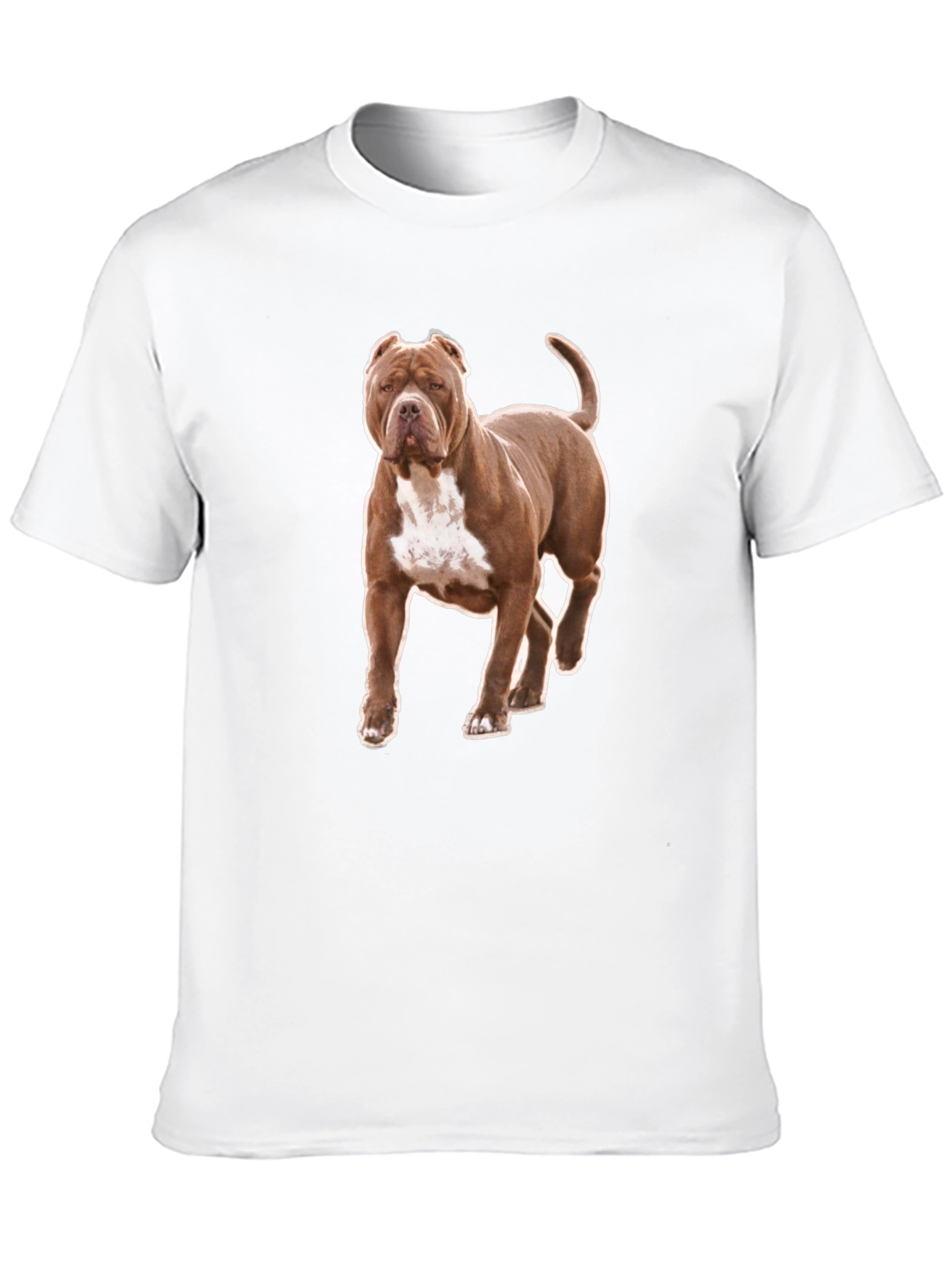 Pitbull Dog Graphic Tee - Black Cotton T-Shirt