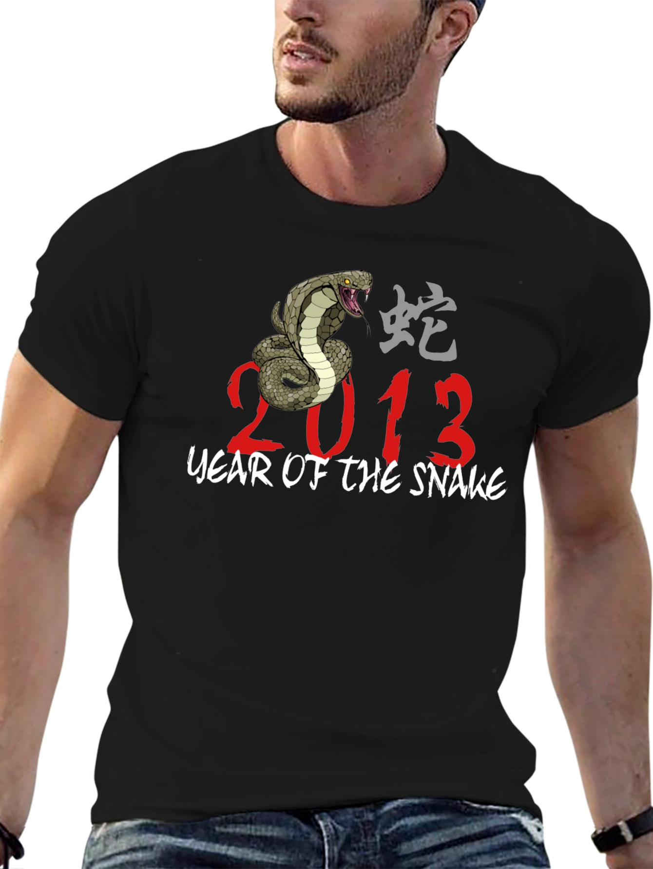 Year of The Snake 2013 Graphic T-Shirt