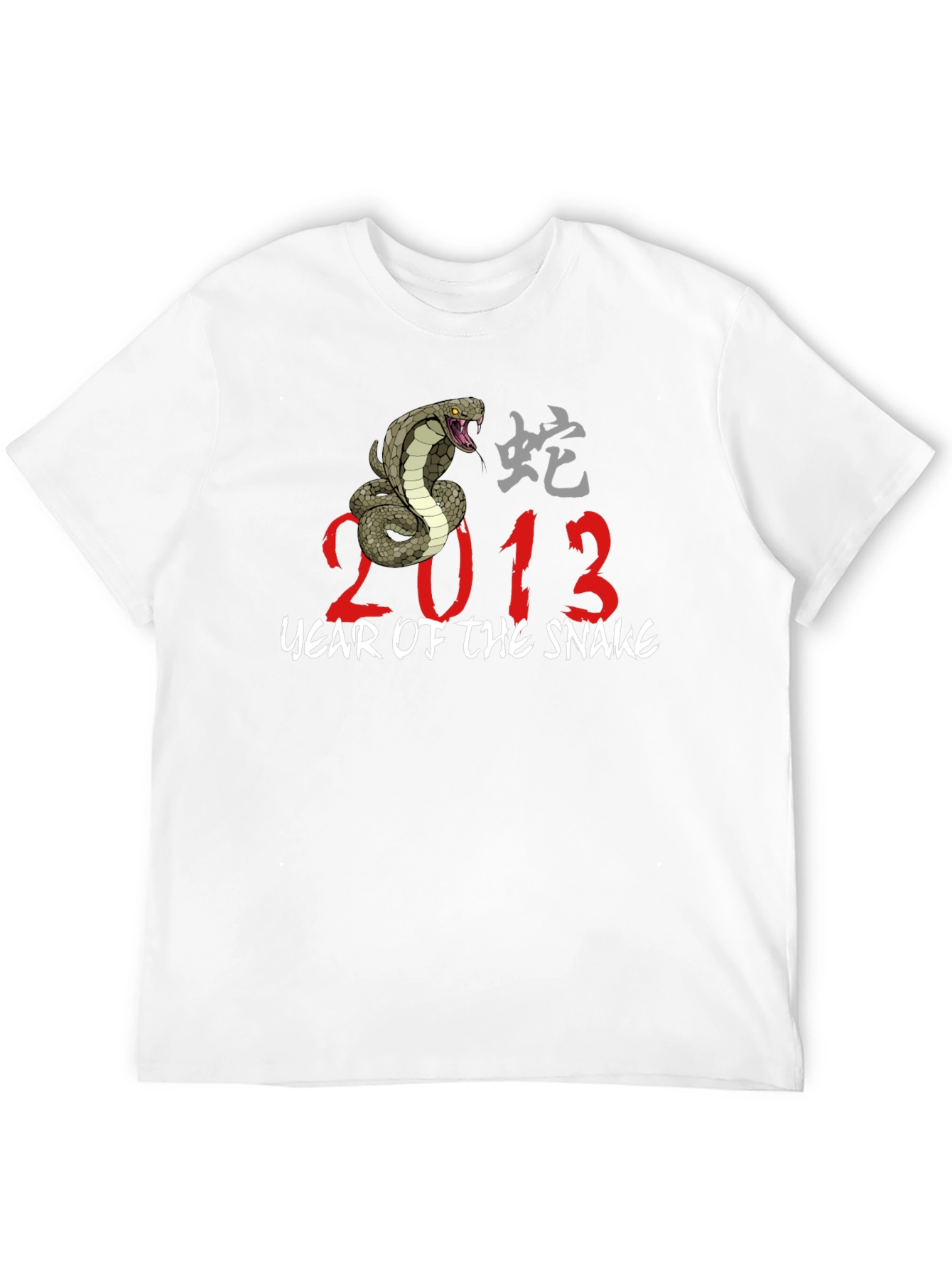 Year of The Snake 2013 Graphic T-Shirt