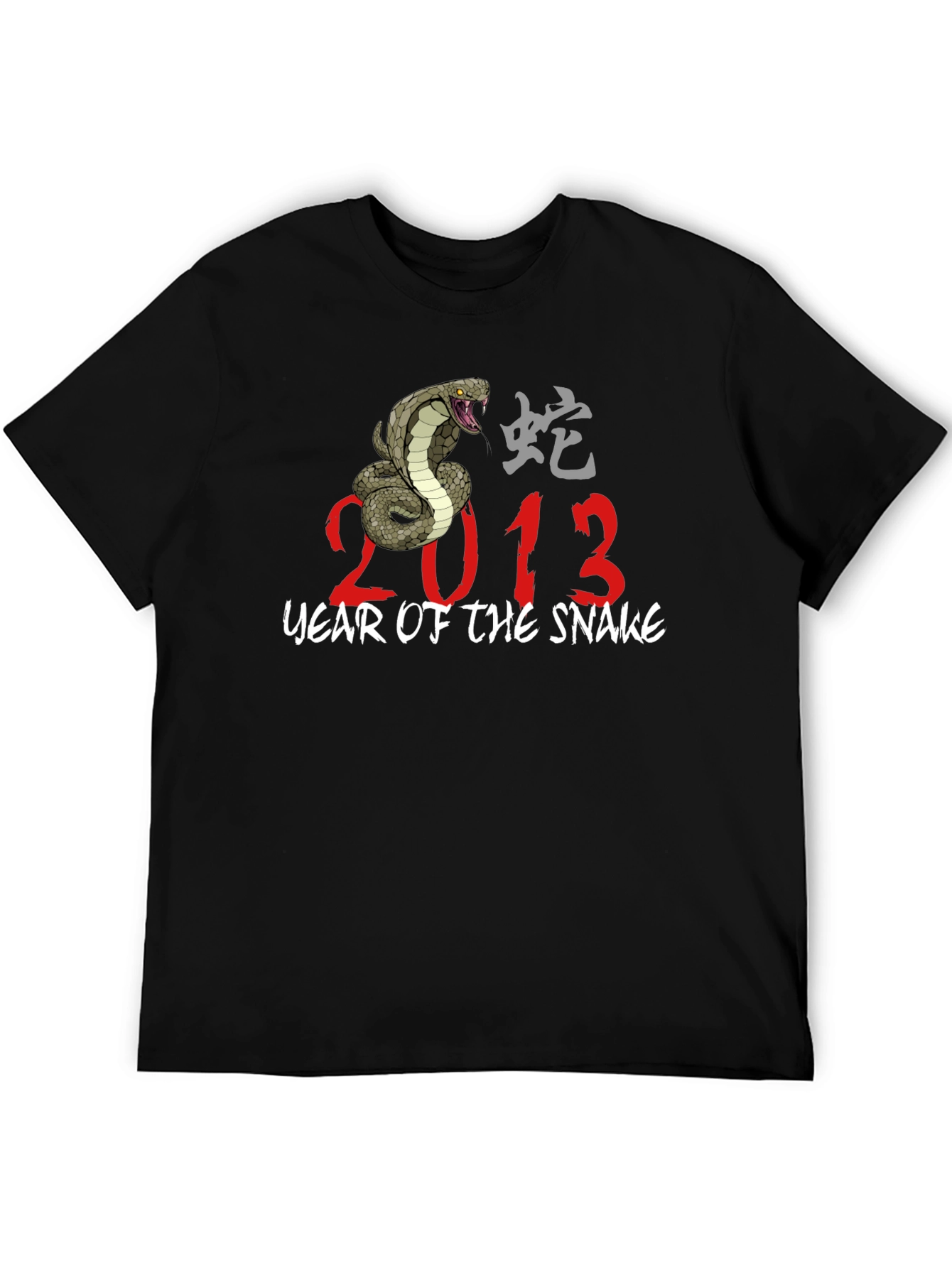 Year of The Snake 2013 Graphic T-Shirt