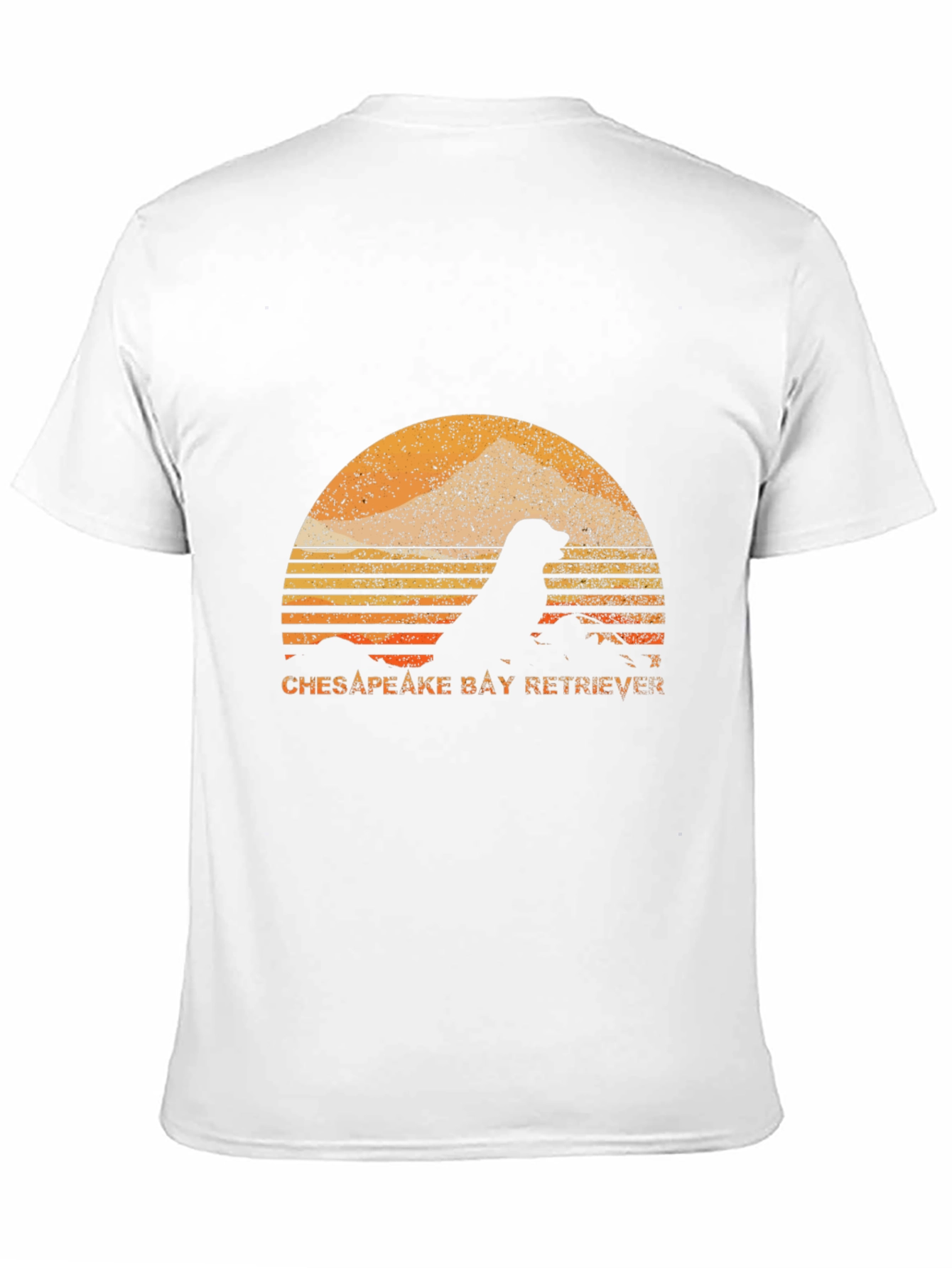 Chesapeake Bay Retriever Graphic Tee