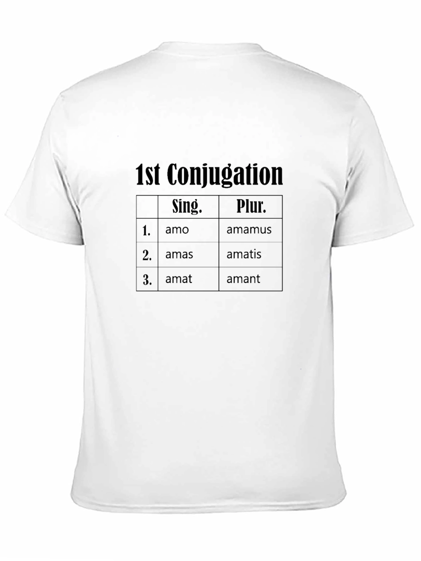 Latin Verb Conjugation T-Shirt - 1st Conjugation