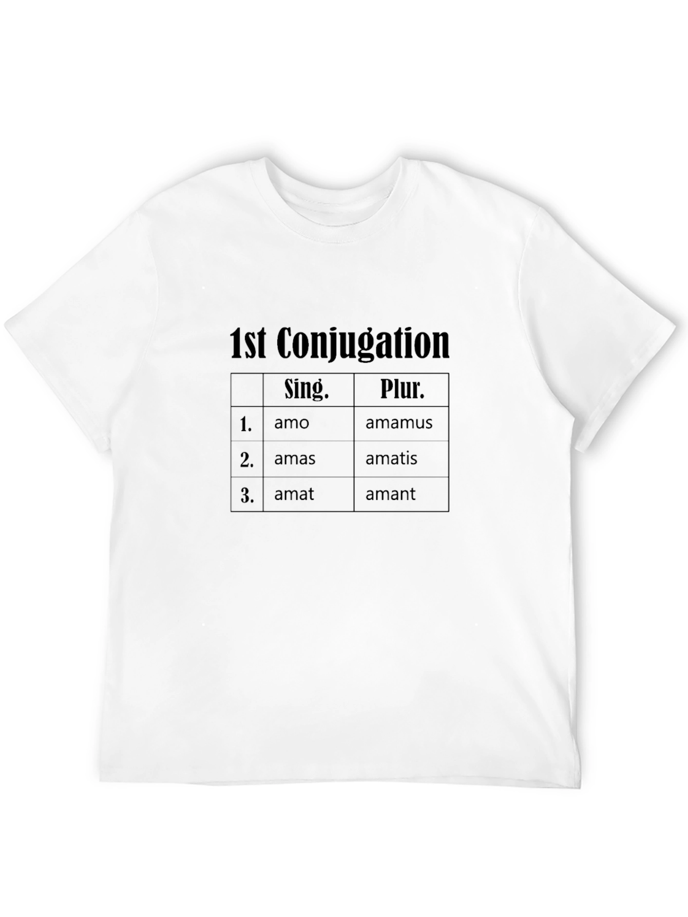 Latin Verb Conjugation T-Shirt - 1st Conjugation