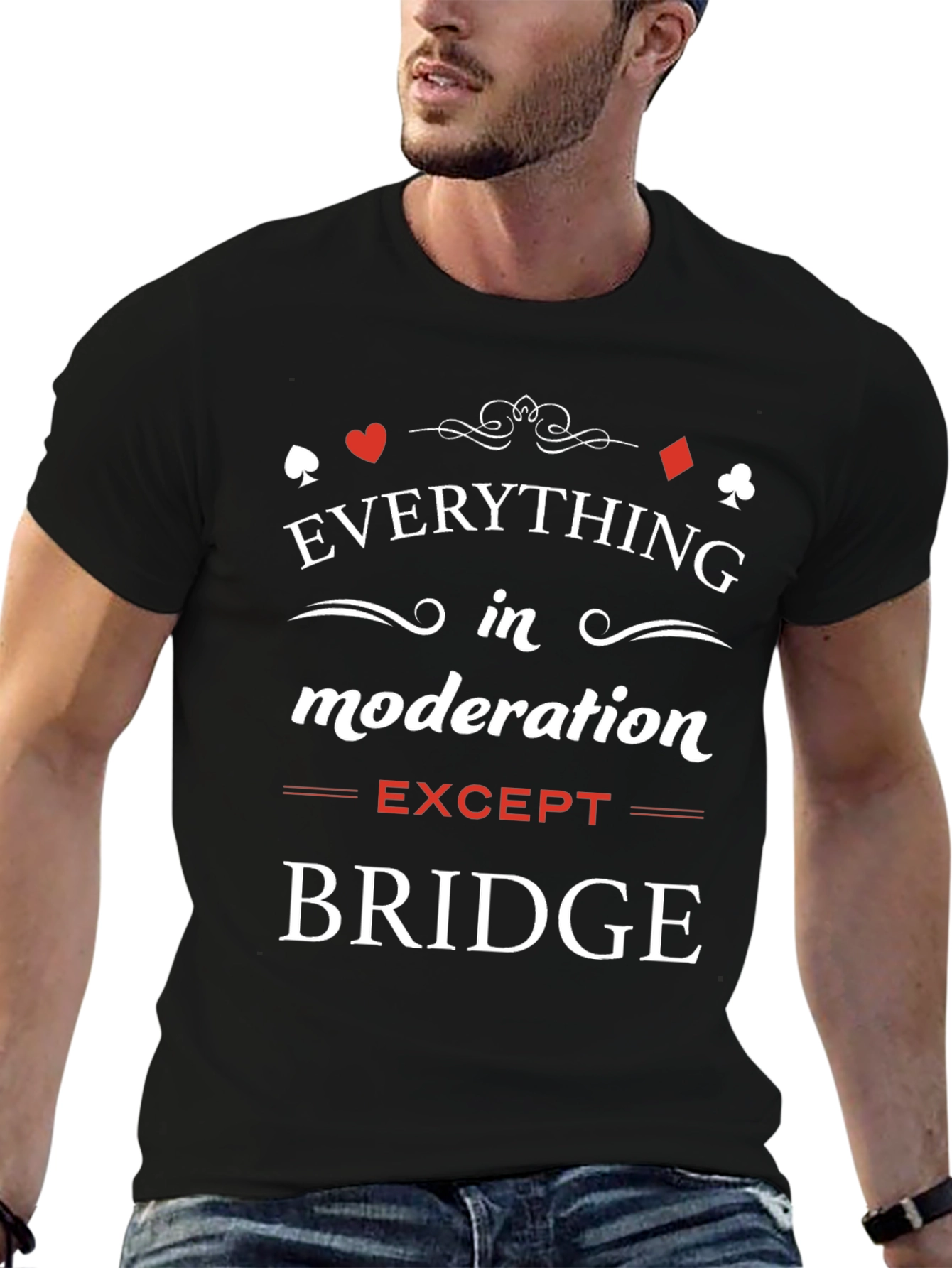 Everything in Moderation Except Bridge T-Shirt