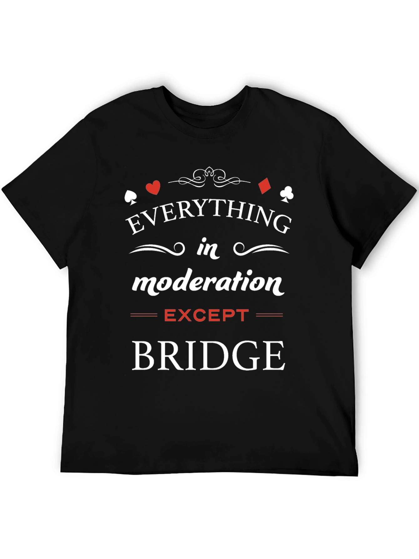 Everything in Moderation Except Bridge T-Shirt