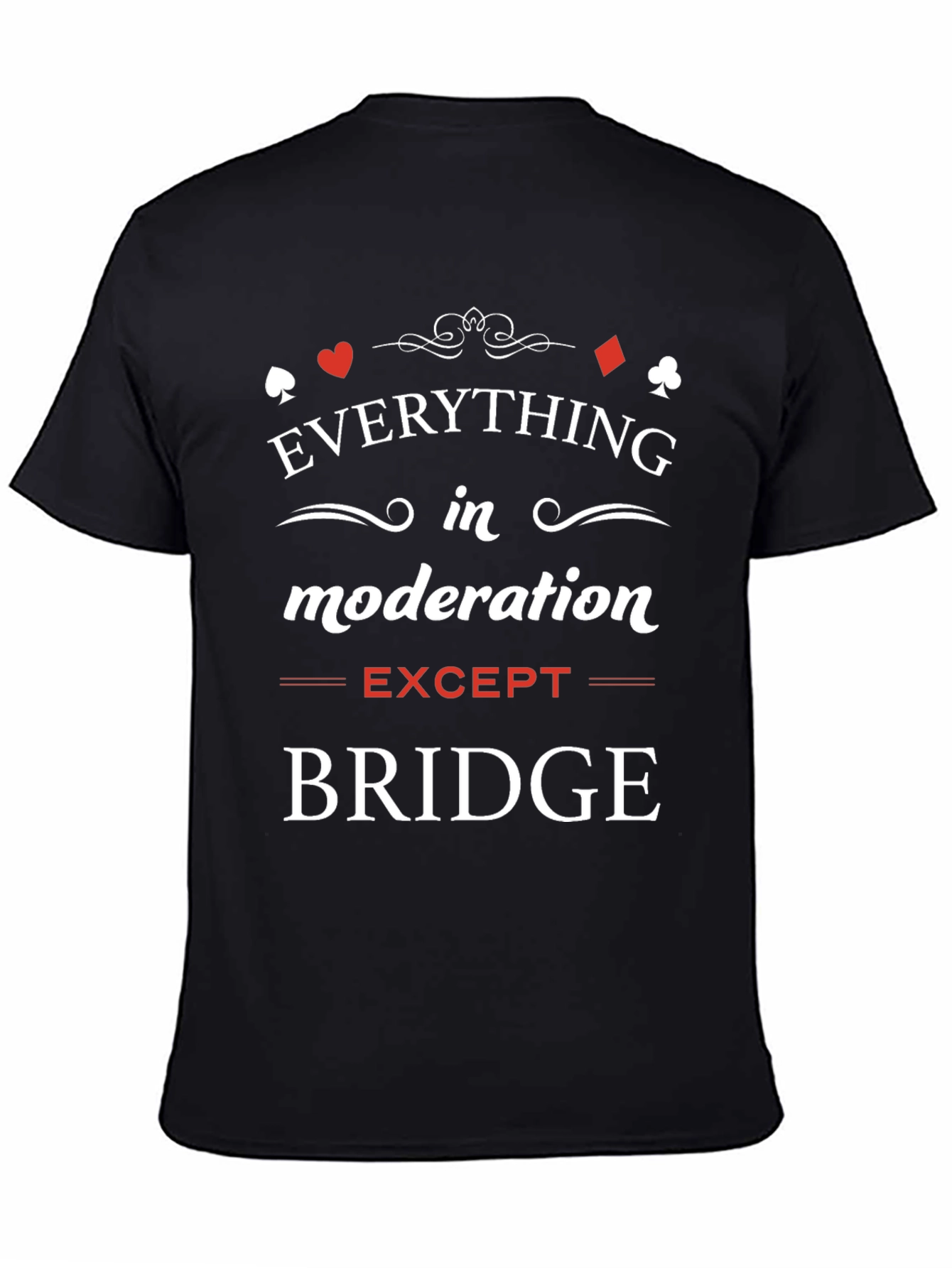 Everything in Moderation Except Bridge T-Shirt