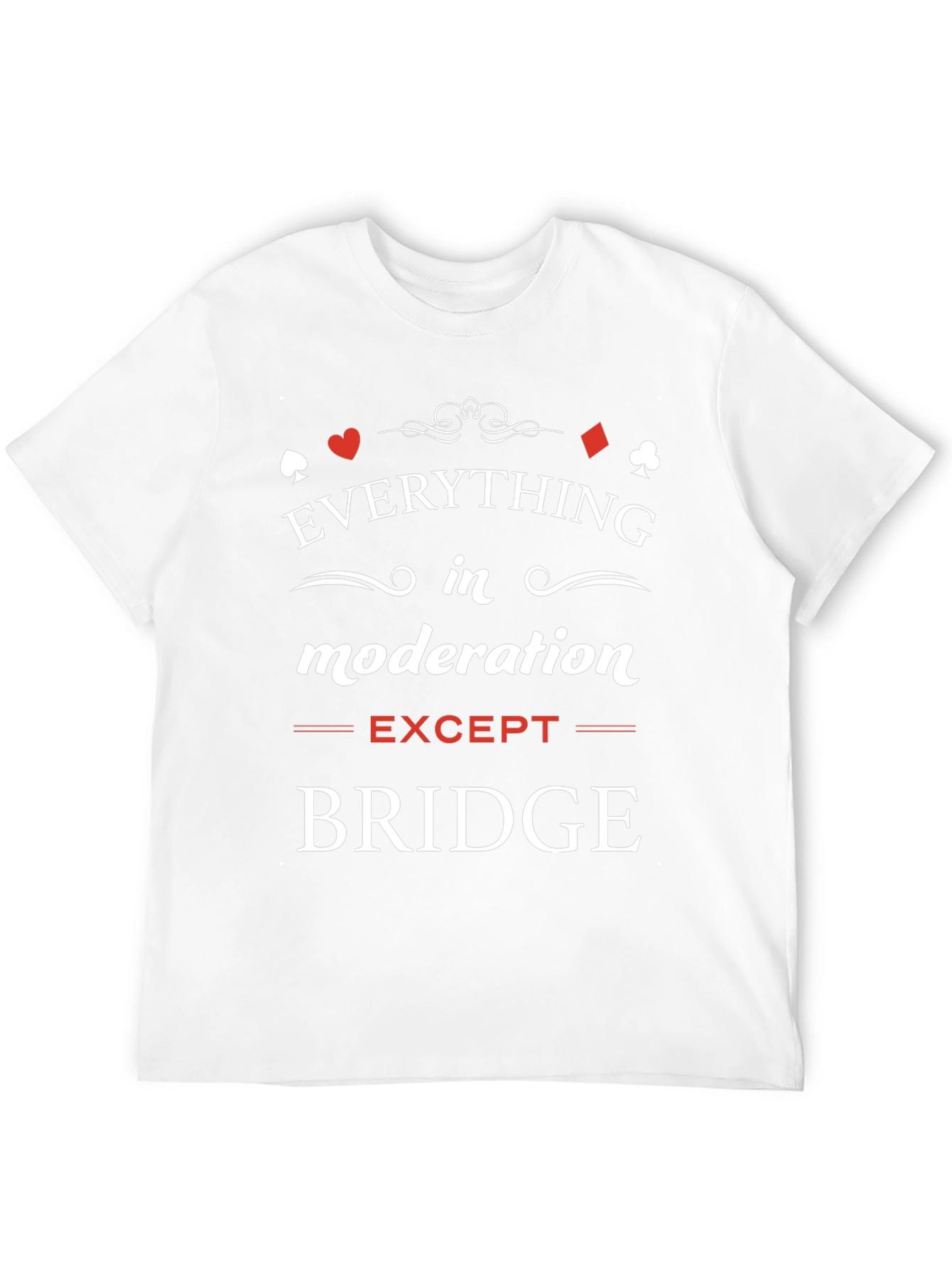Everything in Moderation Except Bridge T-Shirt