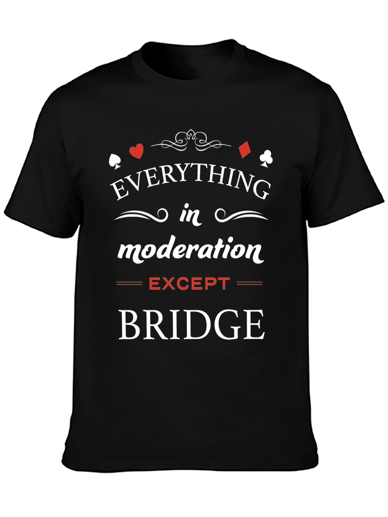 Everything in Moderation Except Bridge T-Shirt