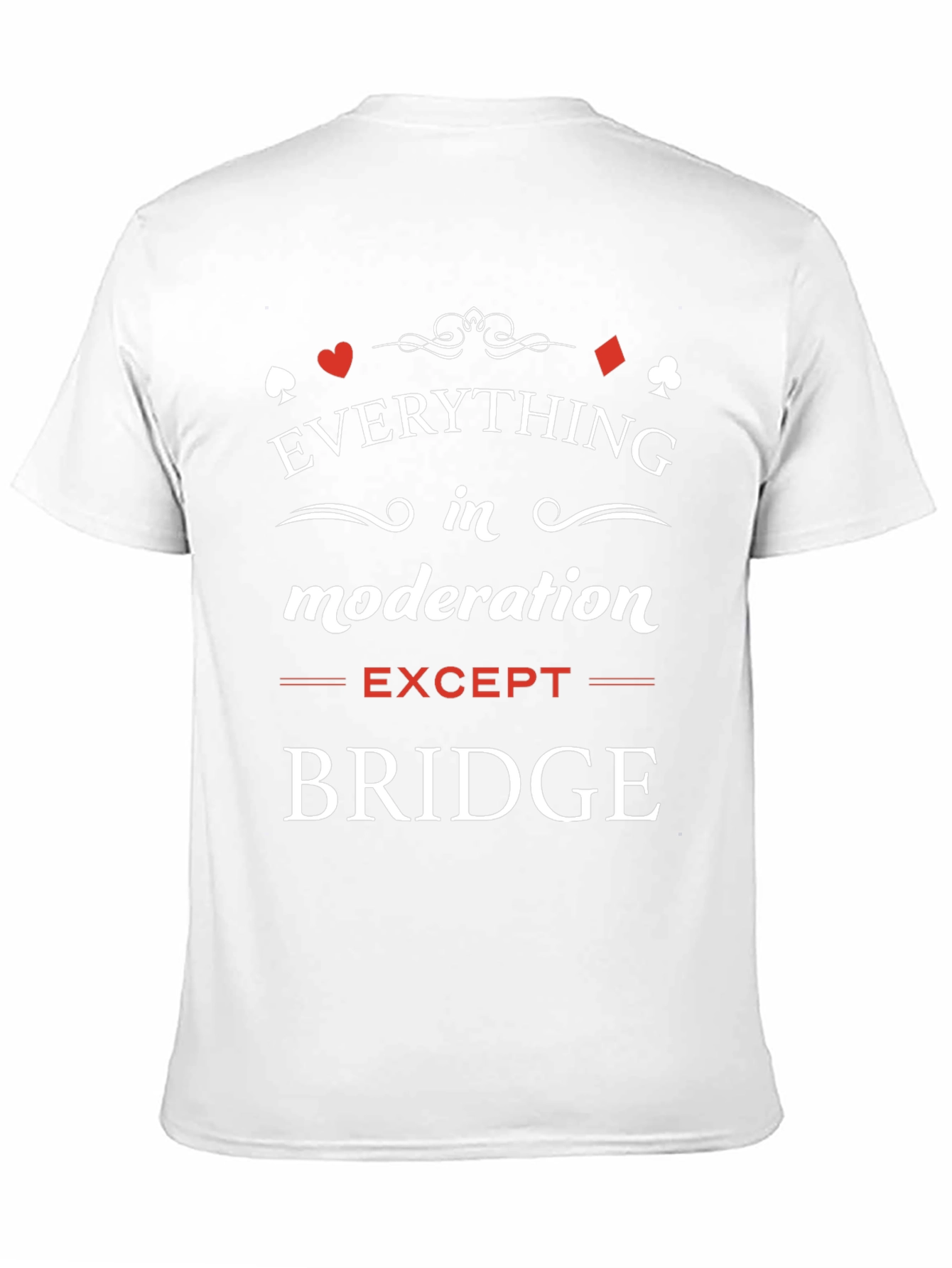 Everything in Moderation Except Bridge T-Shirt