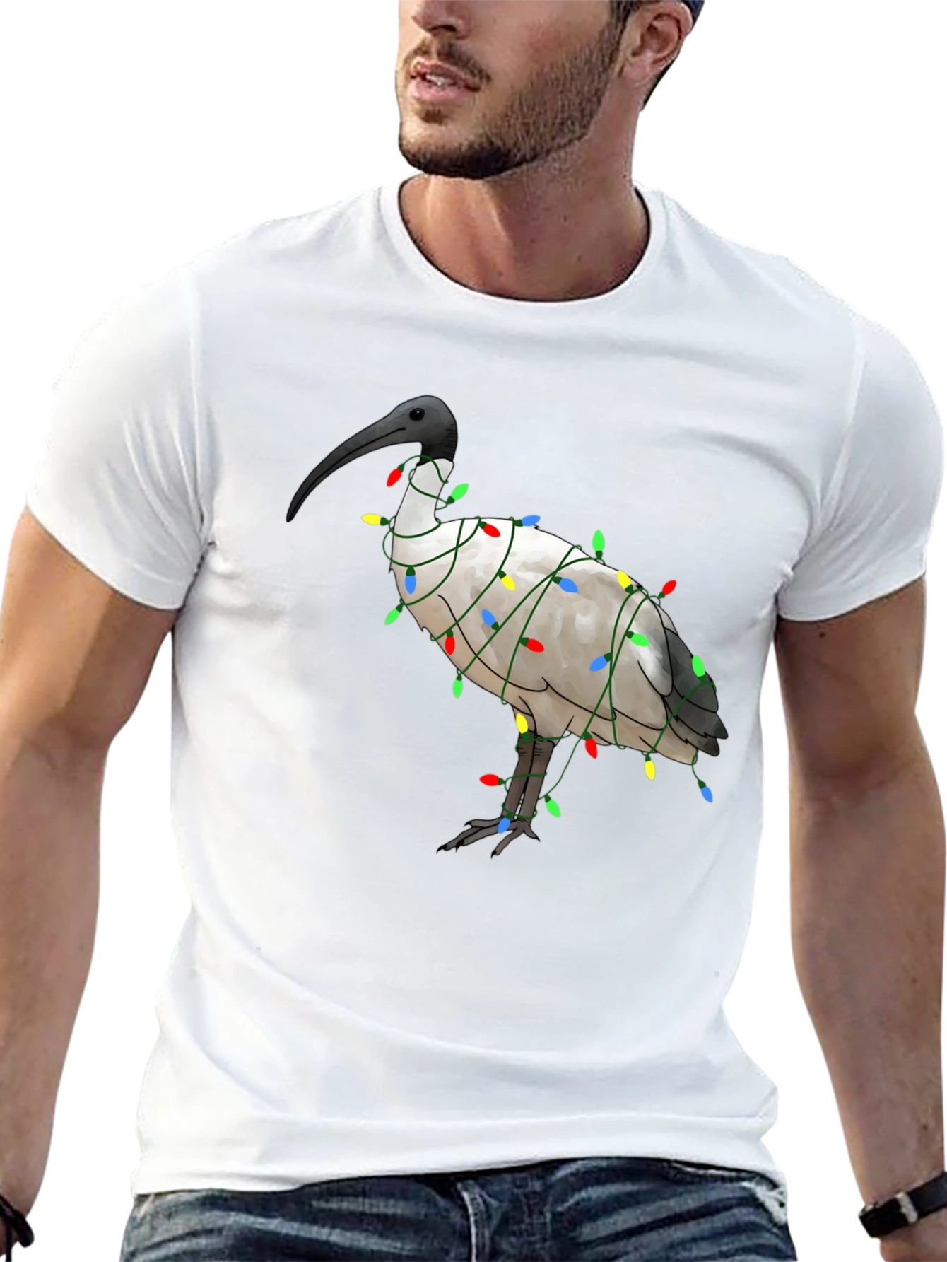 Ibis Bird Christmas Lights T-Shirt - Holiday Apparel