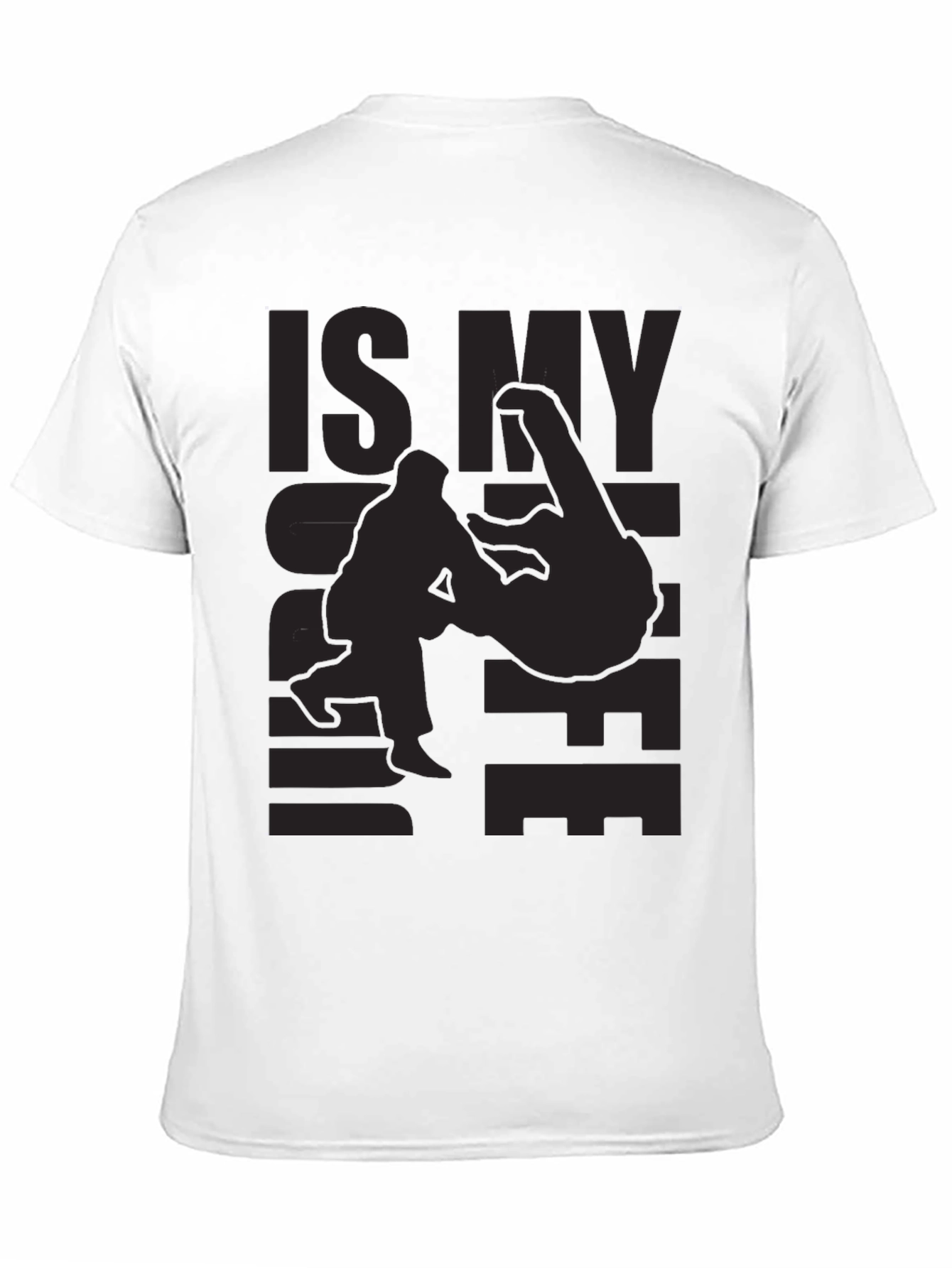 Funny BJJ T-Shirt - Is My Gi OK?
