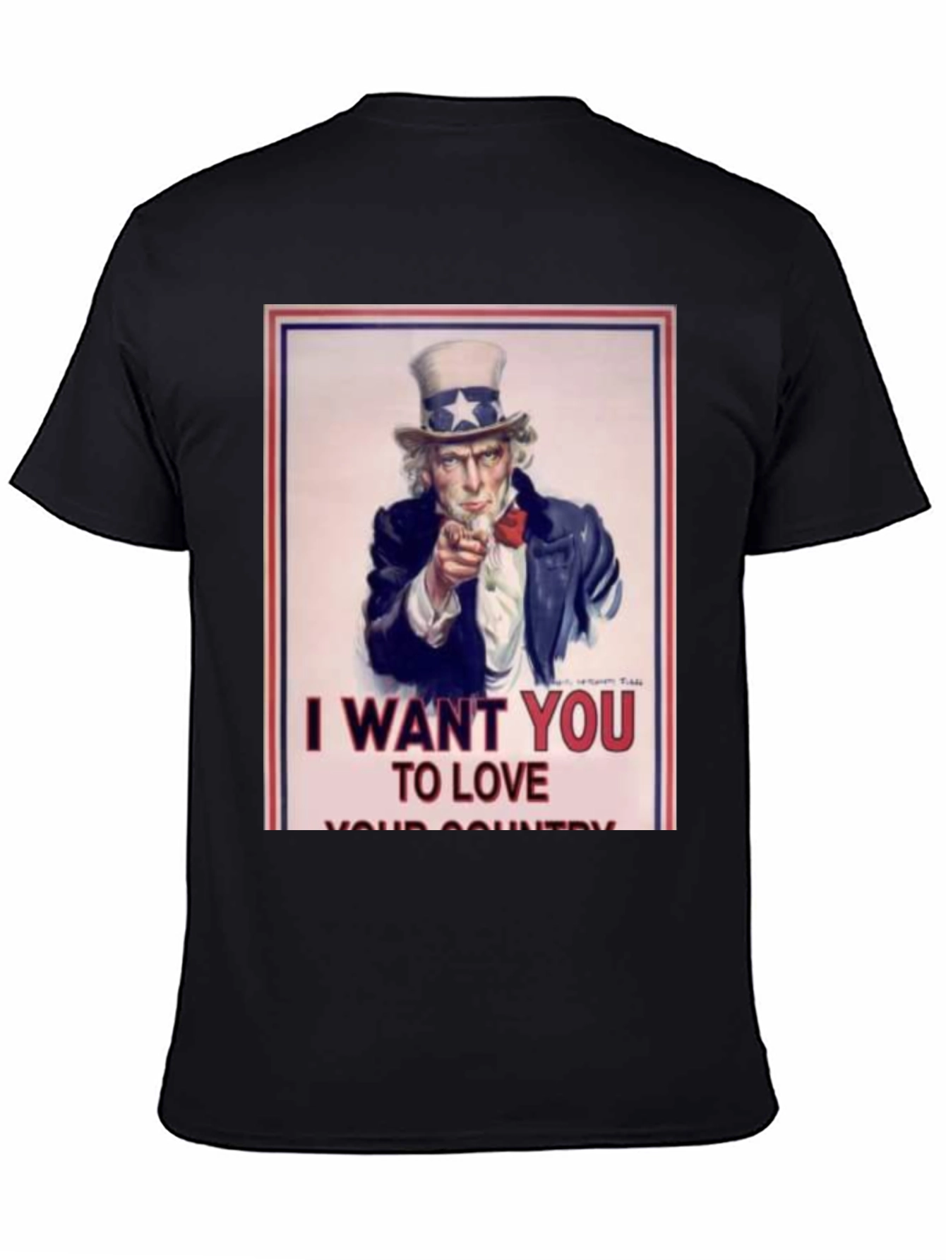 I Want You to Love Your Country T-Shirt