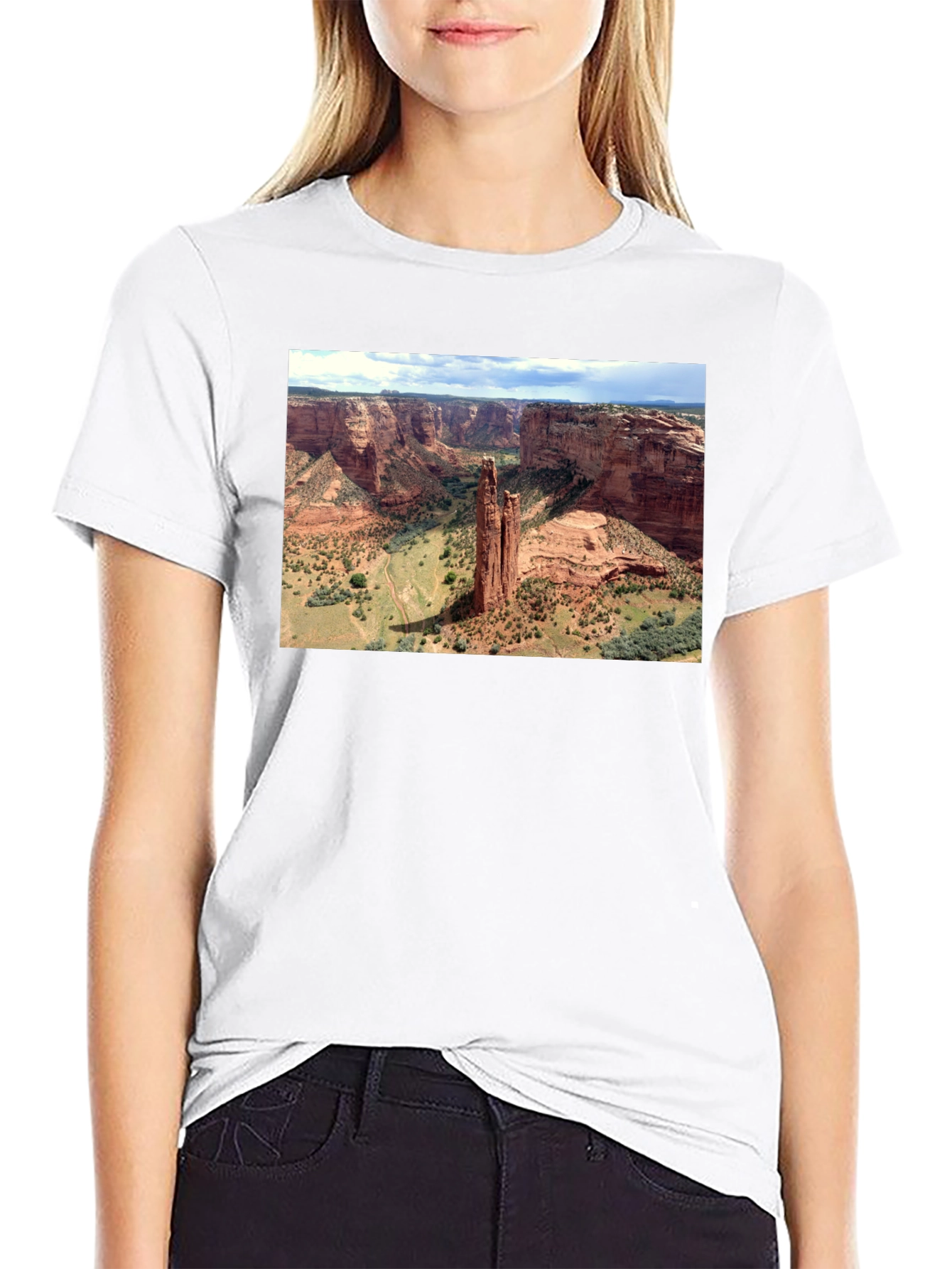 Canyon Landscape Graphic Tee - Black Cotton T-Shirt
