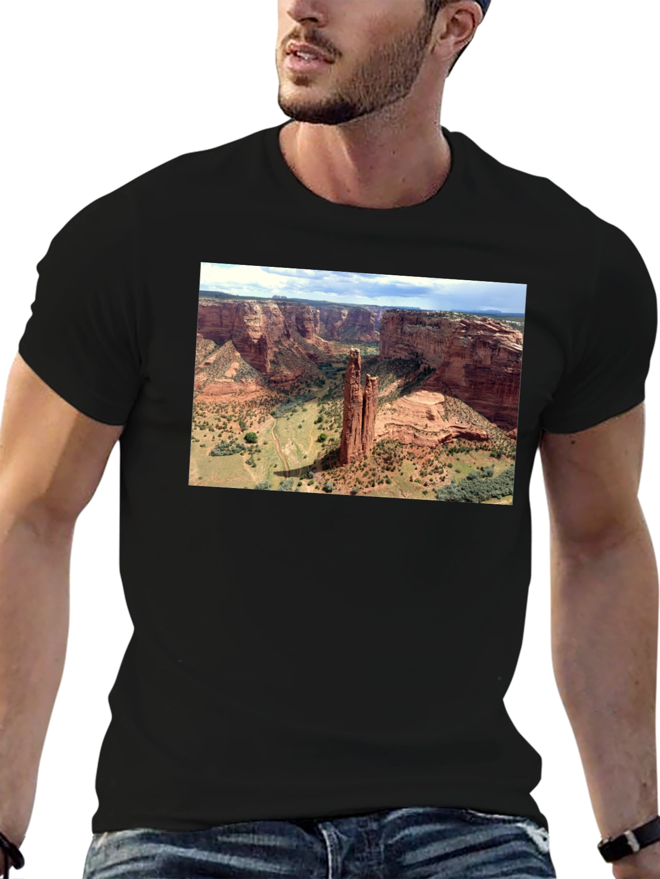 Canyon Landscape Graphic Tee - Black Cotton T-Shirt