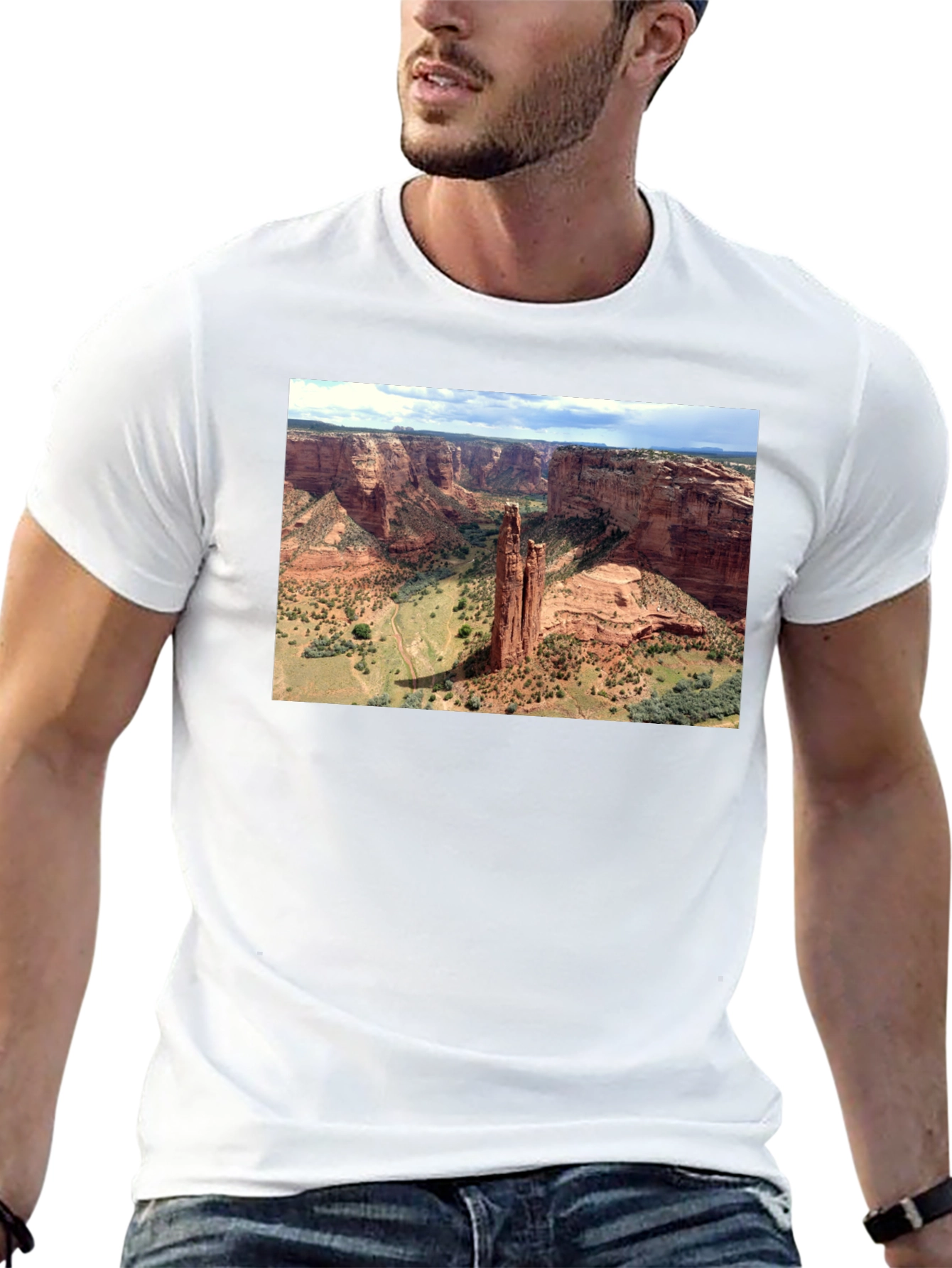 Canyon Landscape Graphic Tee - Black Cotton T-Shirt
