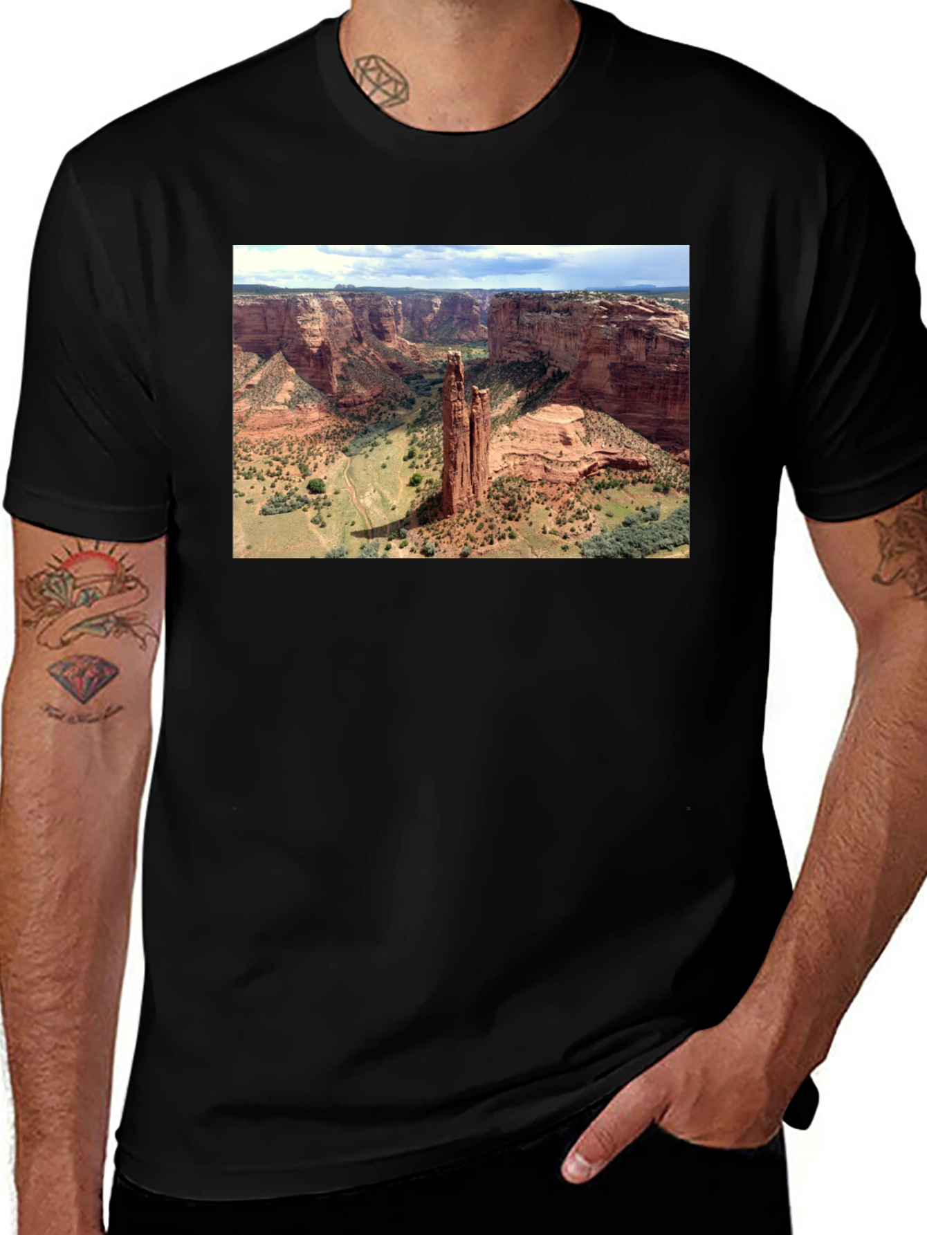 Canyon Landscape Graphic Tee - Black Cotton T-Shirt