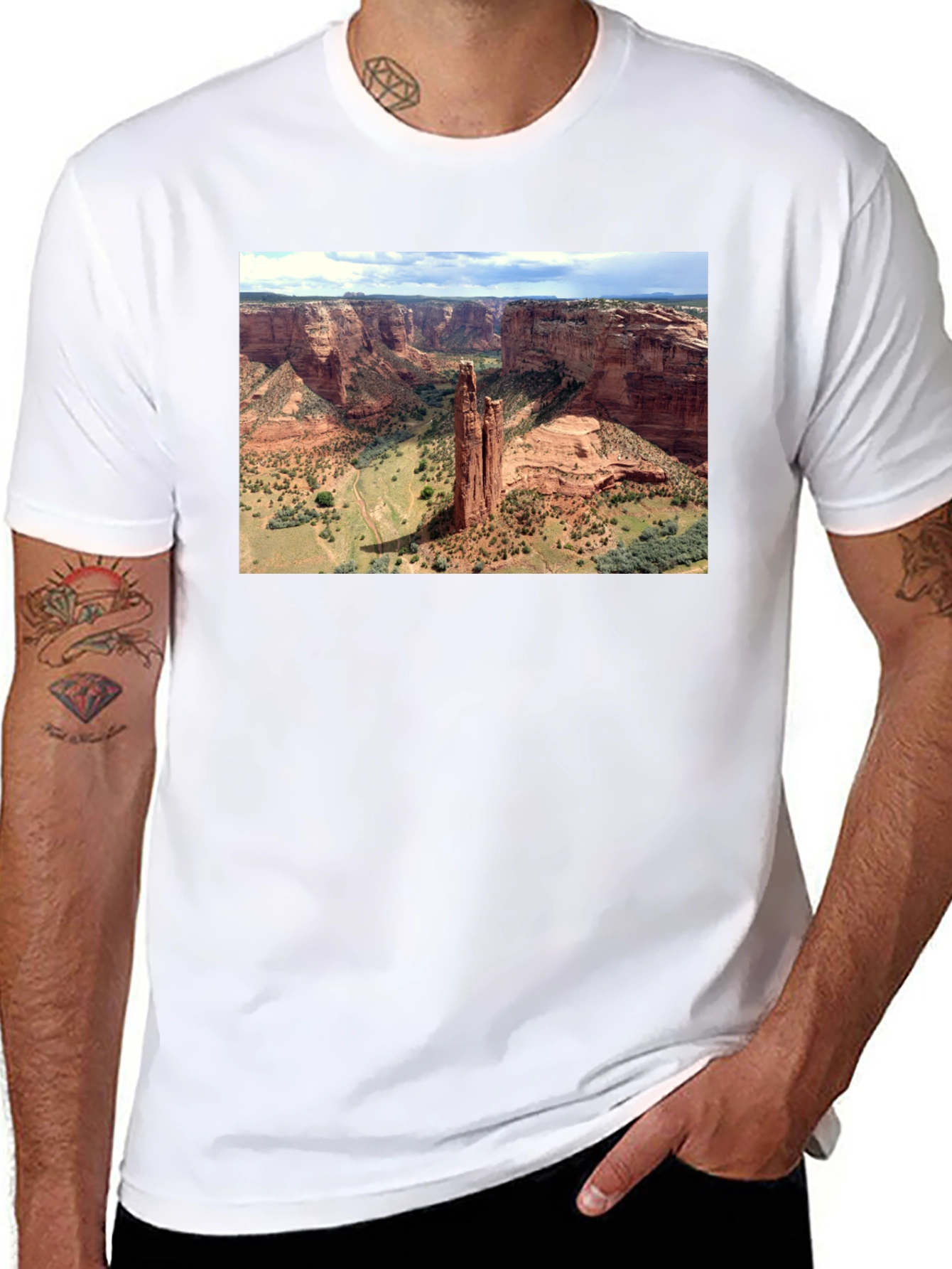 Canyon Landscape Graphic Tee - Black Cotton T-Shirt