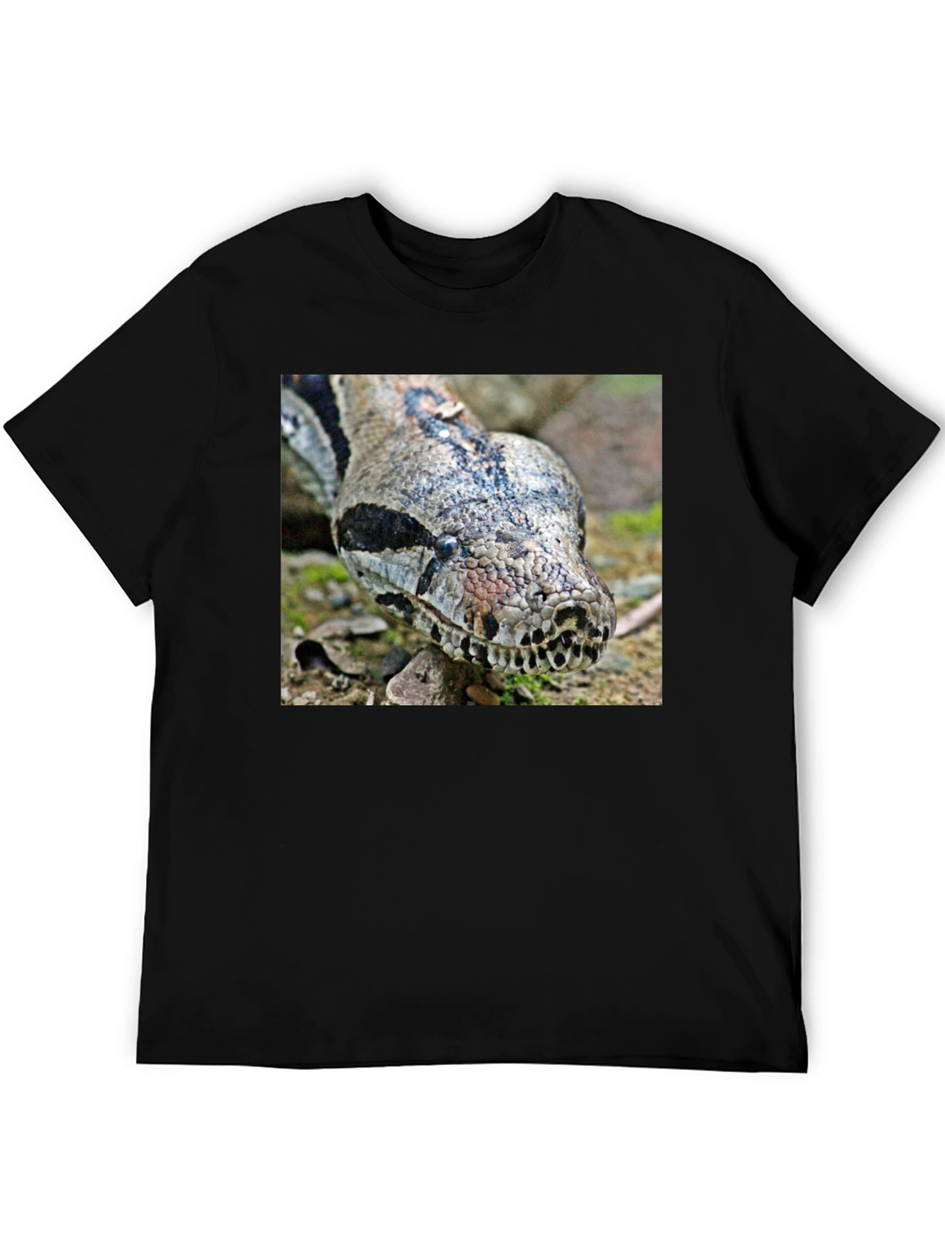 Boa Constrictor Graphic Tee - Reptile Lover