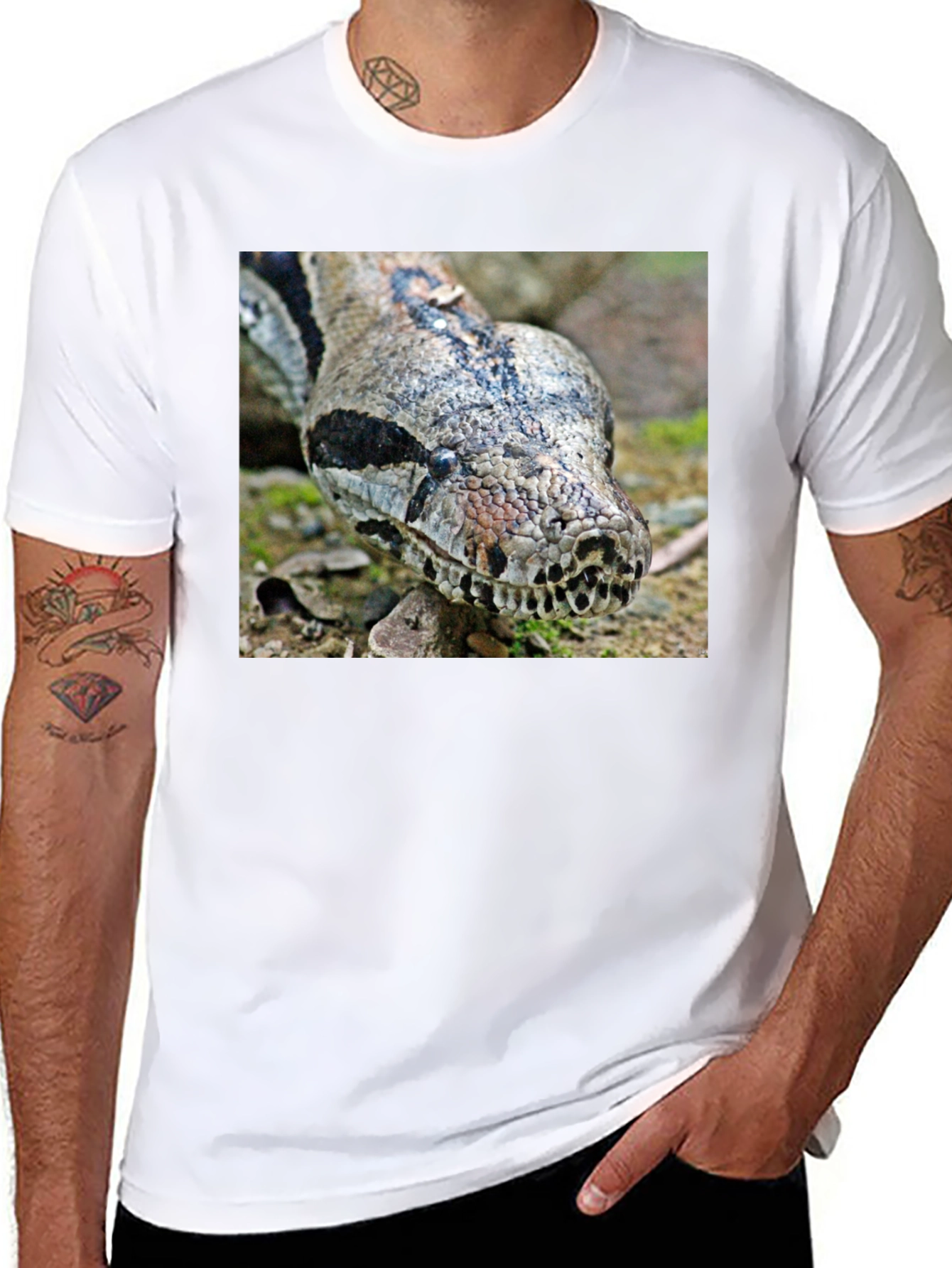 Boa Constrictor Graphic Tee - Reptile Lover
