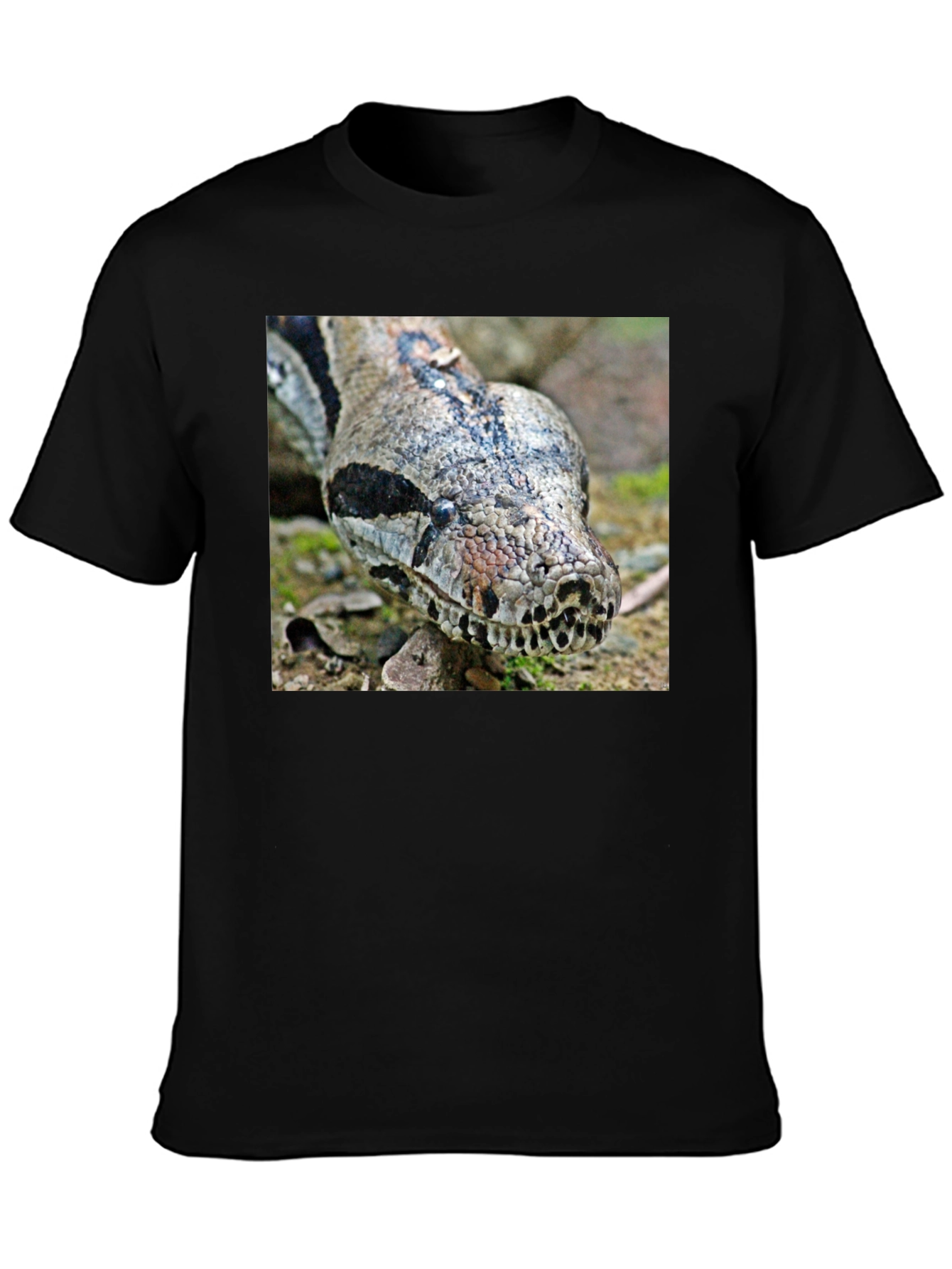 Boa Constrictor Graphic Tee - Reptile Lover
