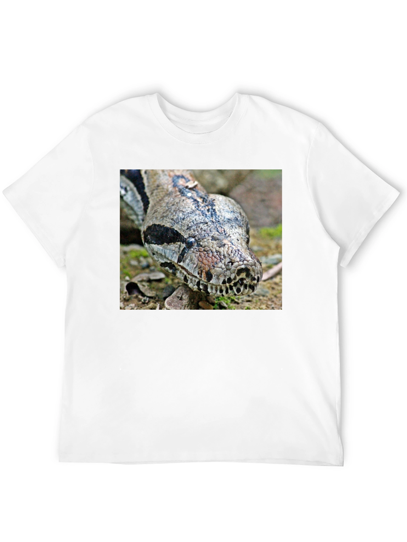 Boa Constrictor Graphic Tee - Reptile Lover