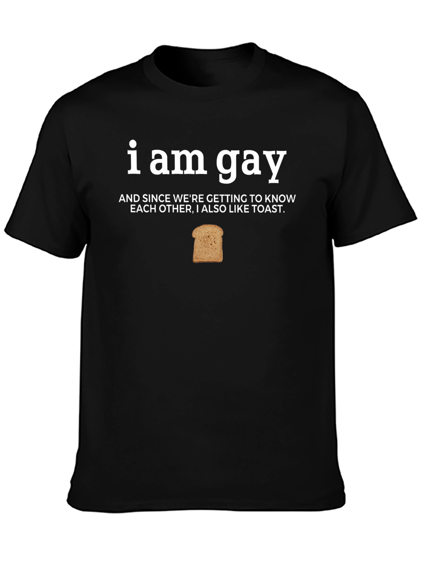 I Am Gay And Also Like Toast Funny T-Shirt