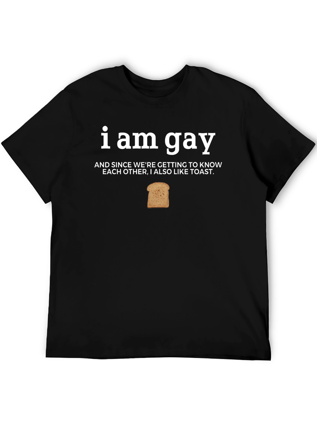 I Am Gay And Also Like Toast Funny T-Shirt