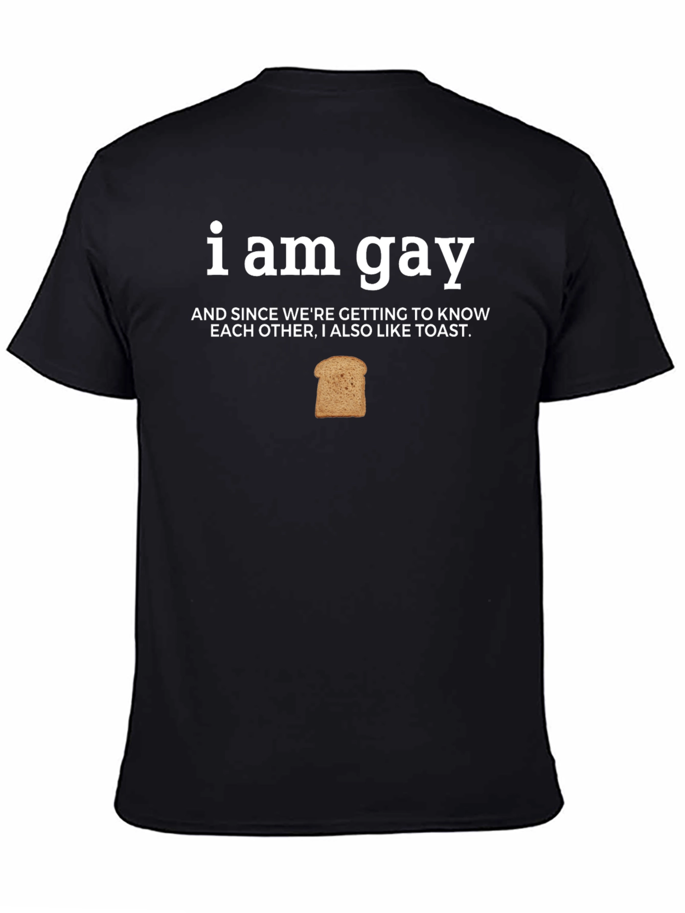 I Am Gay And Also Like Toast Funny T-Shirt