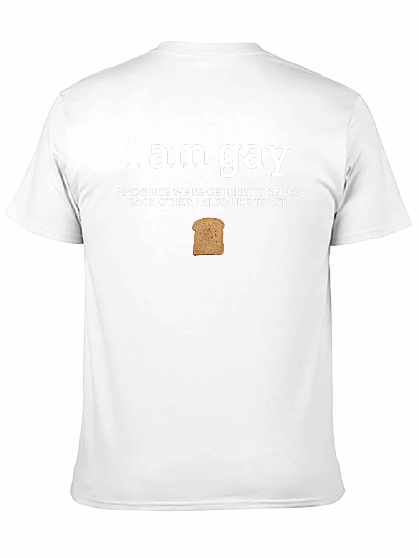 I Am Gay And Also Like Toast Funny T-Shirt