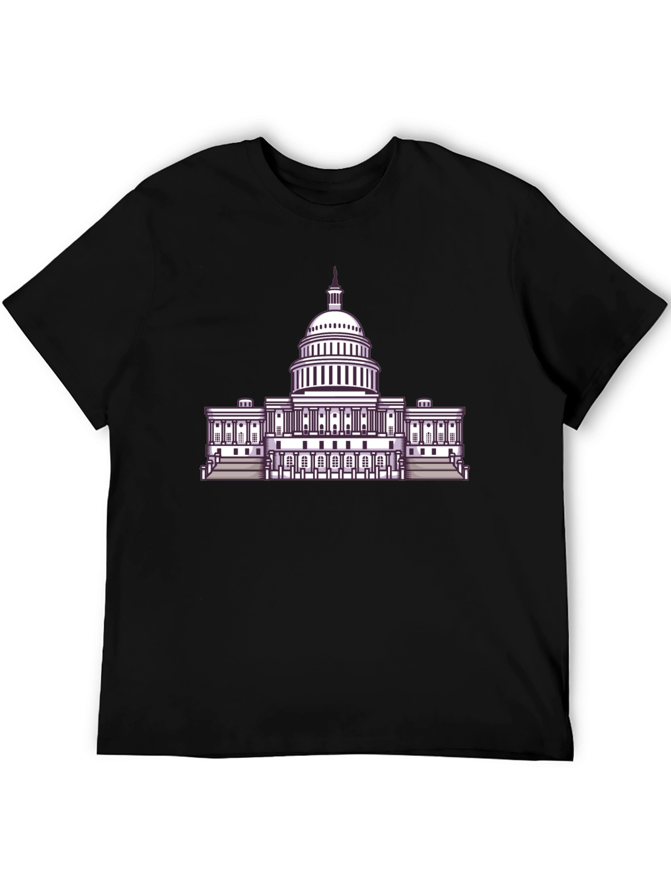 Capitol Building Graphic Tee