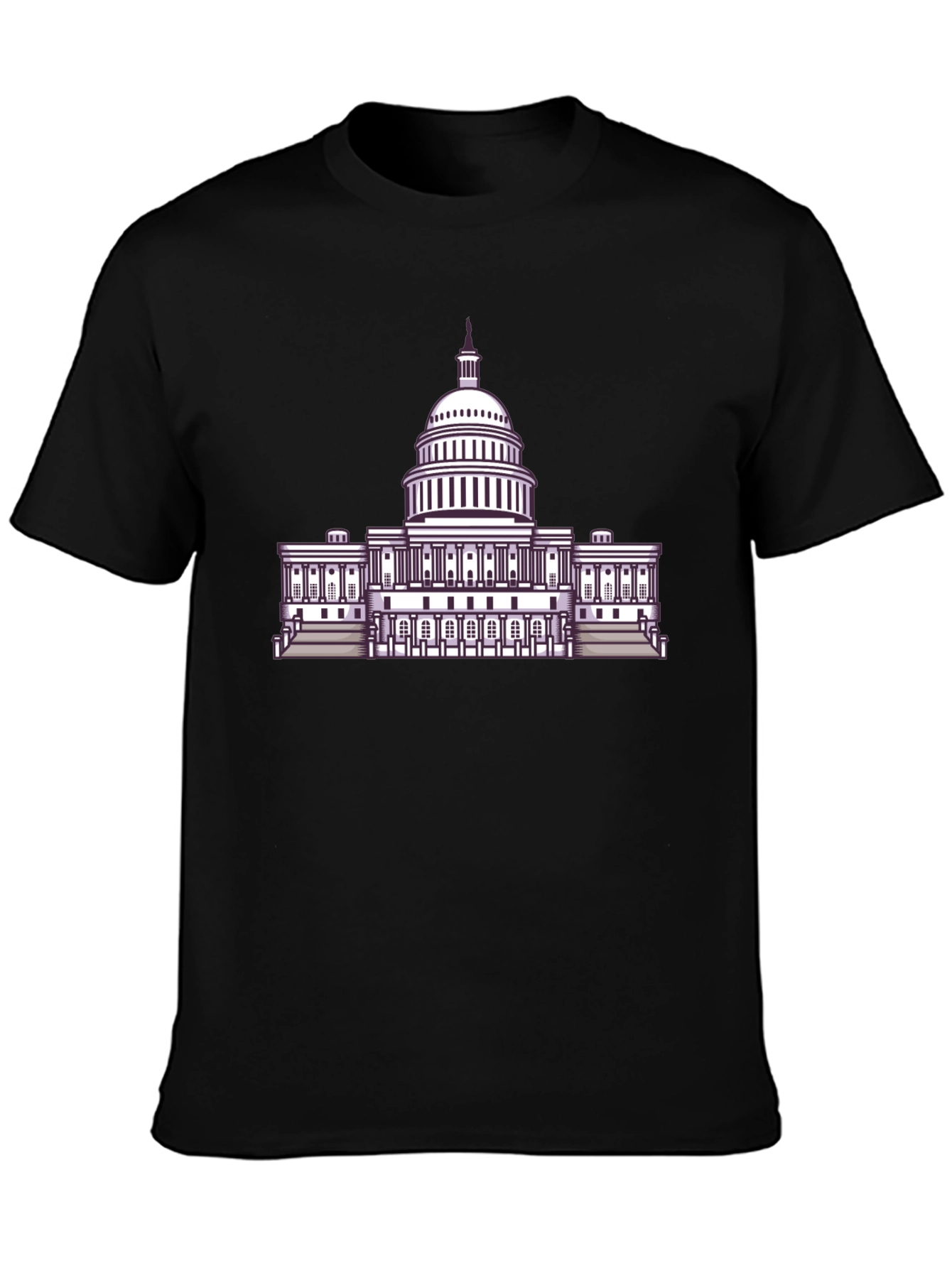 Capitol Building Graphic Tee