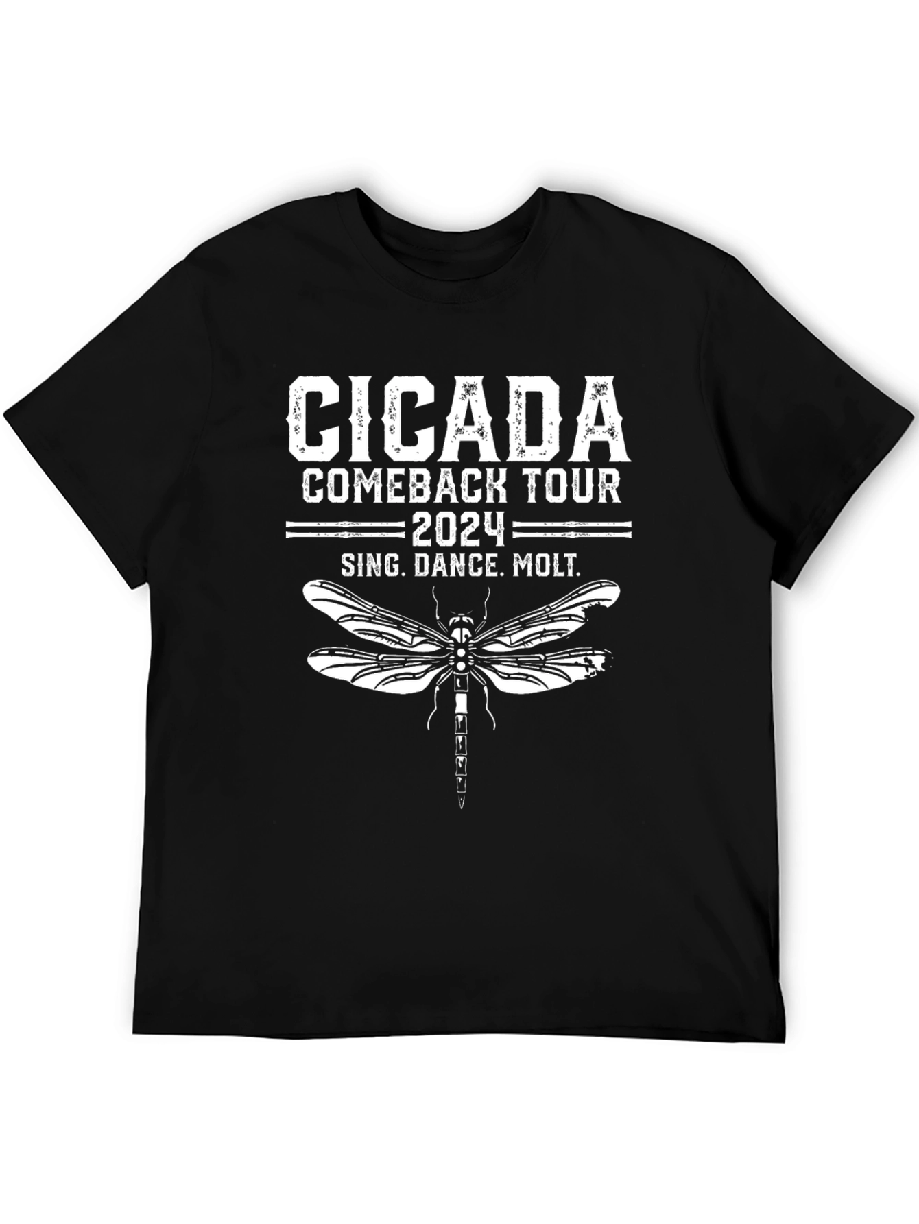 Cicada Comeback Tour 2024 T-Shirt