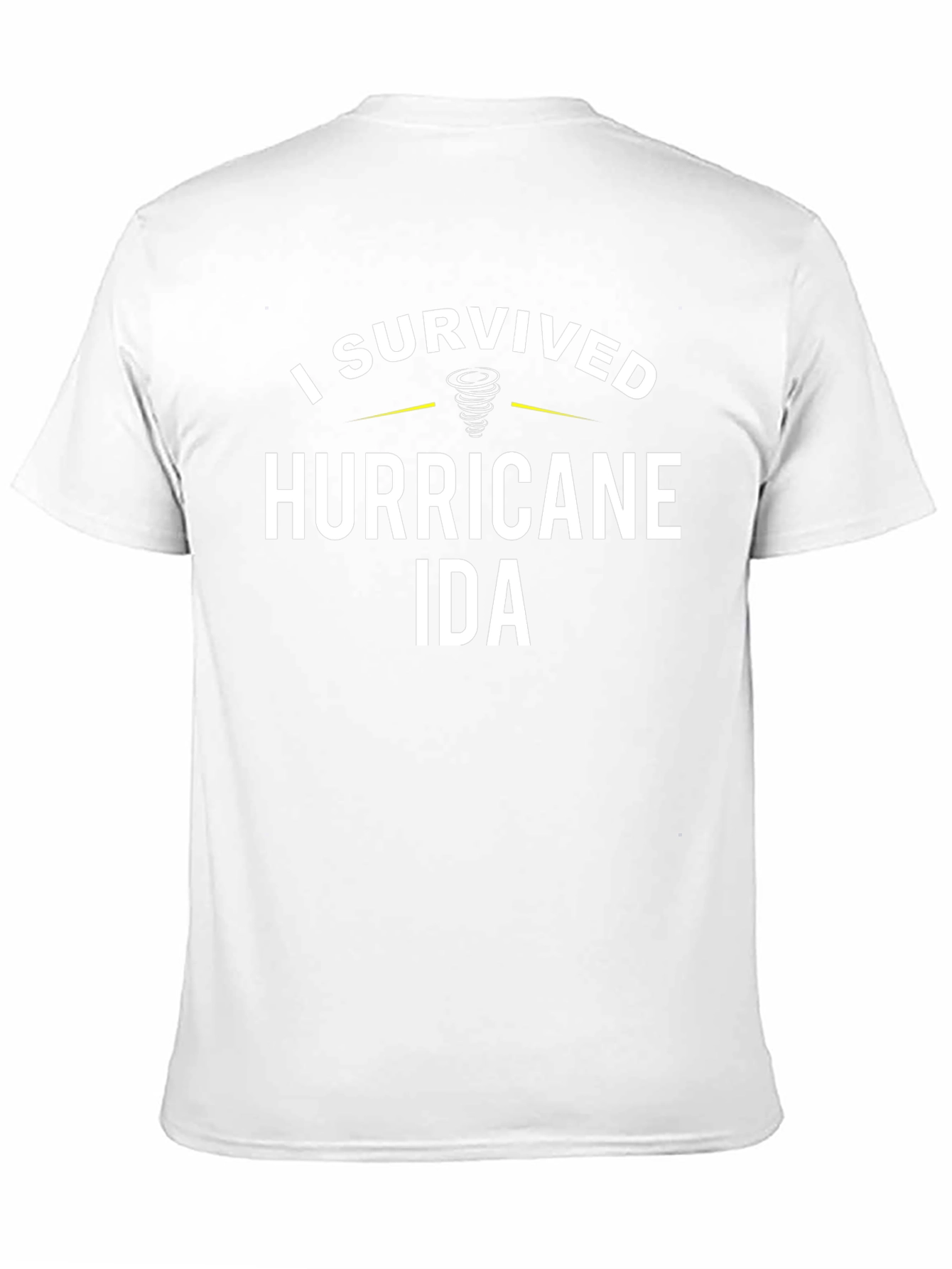 I Survived Hurricane Ida Graphic Tee