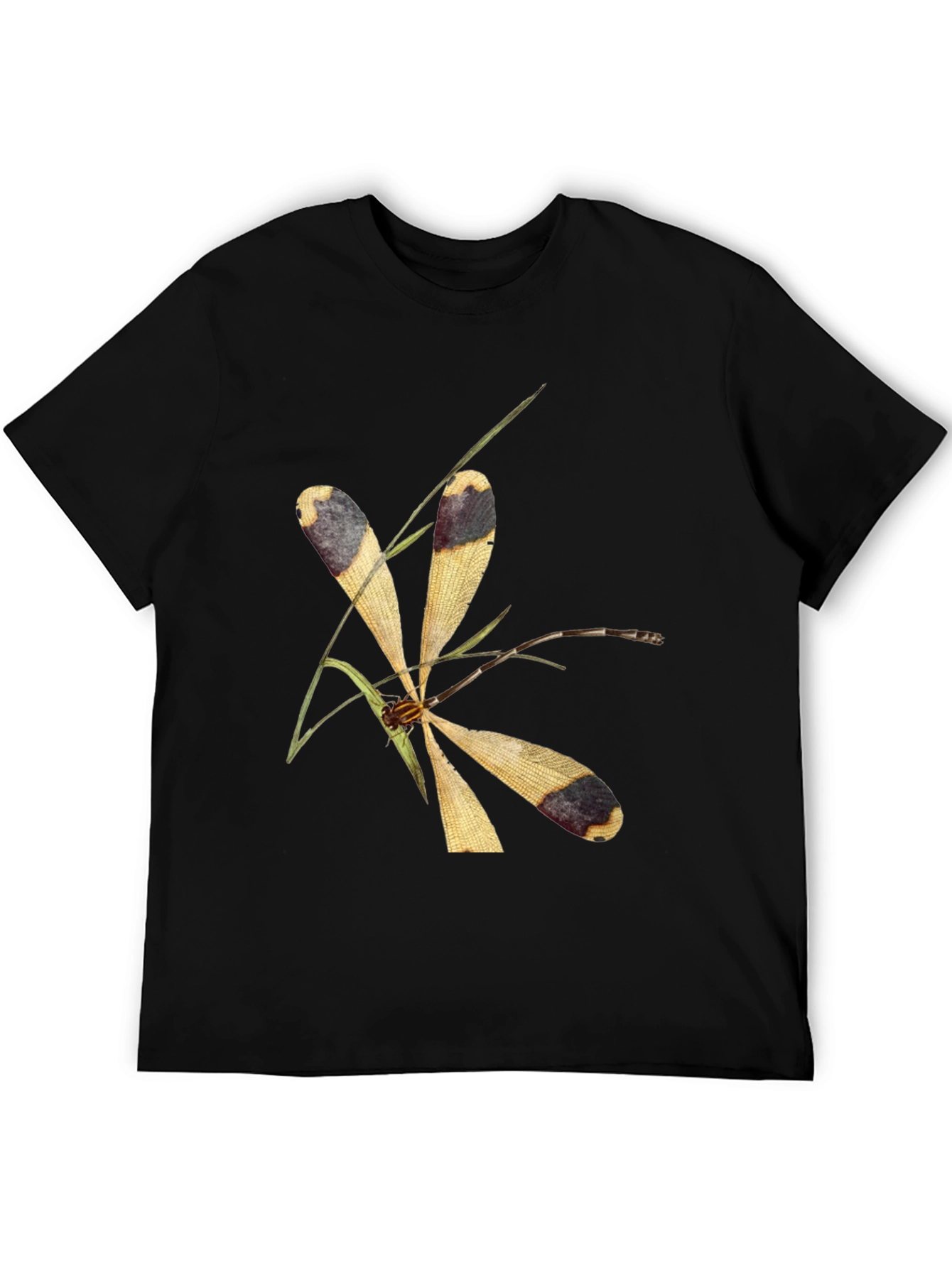 Dragonfly Graphic Tee - Nature Inspired Design