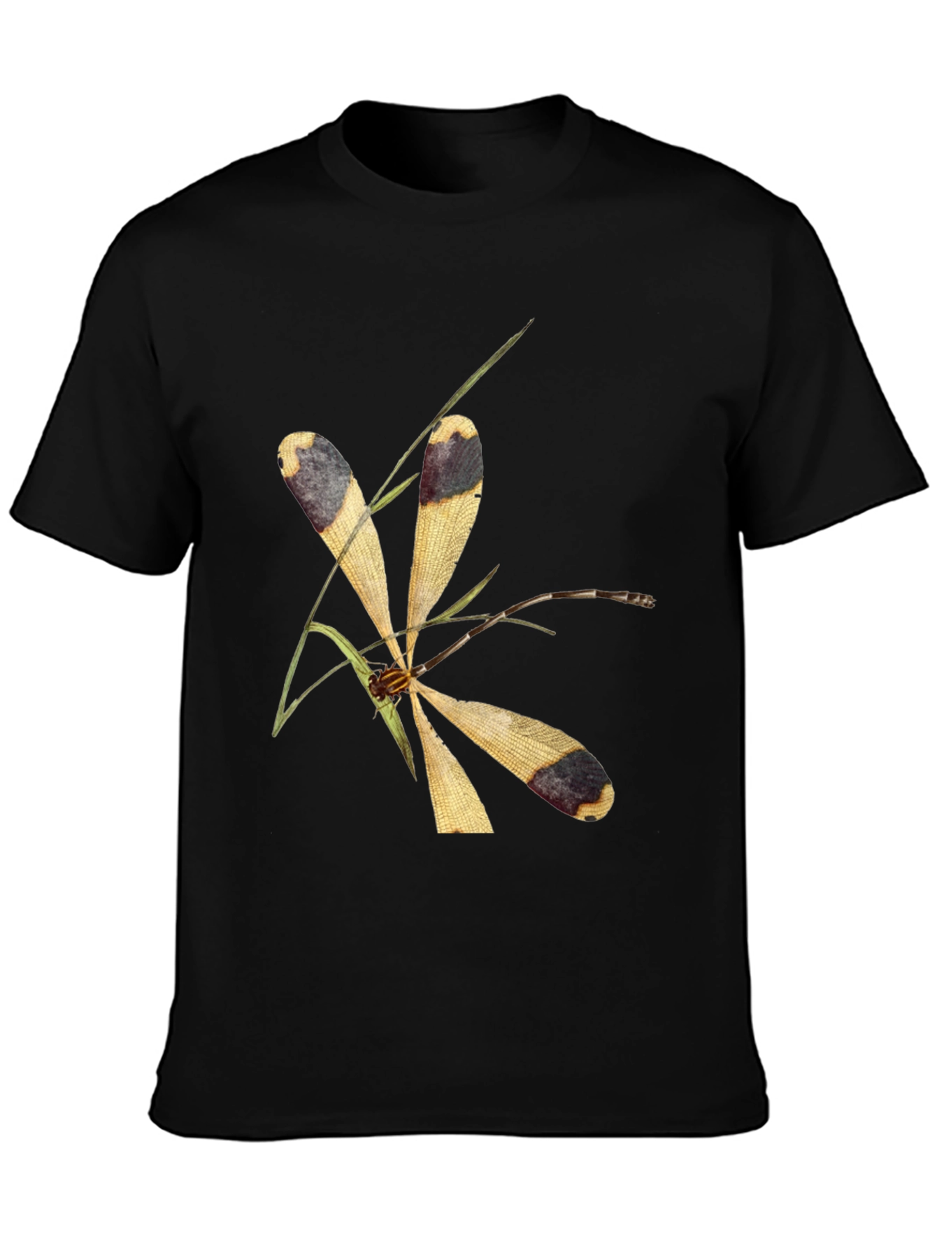 Dragonfly Graphic Tee - Nature Inspired Design