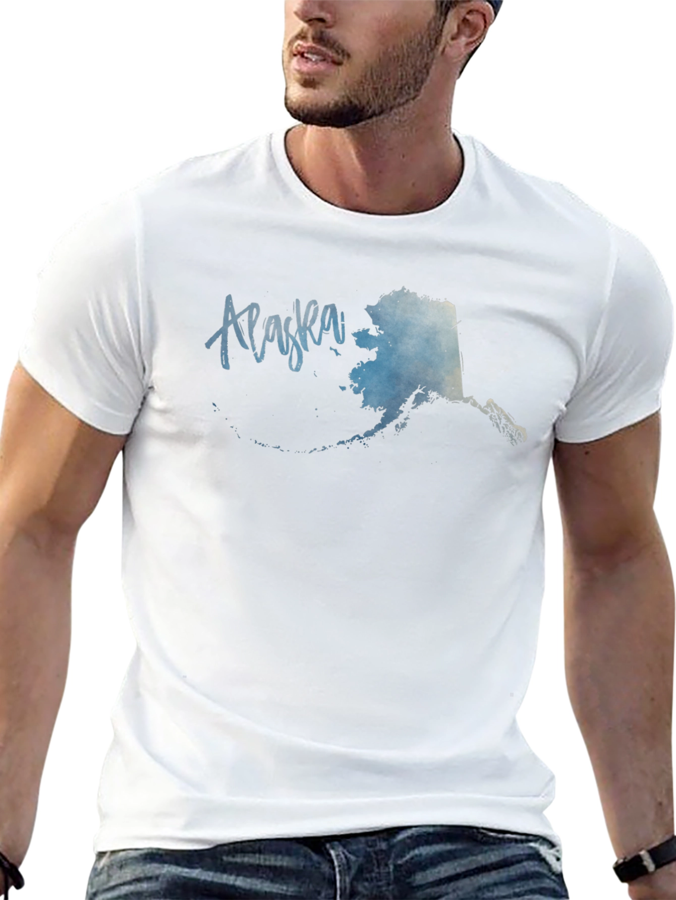 Alaska State Map Graphic Mens Black T-Shirt
